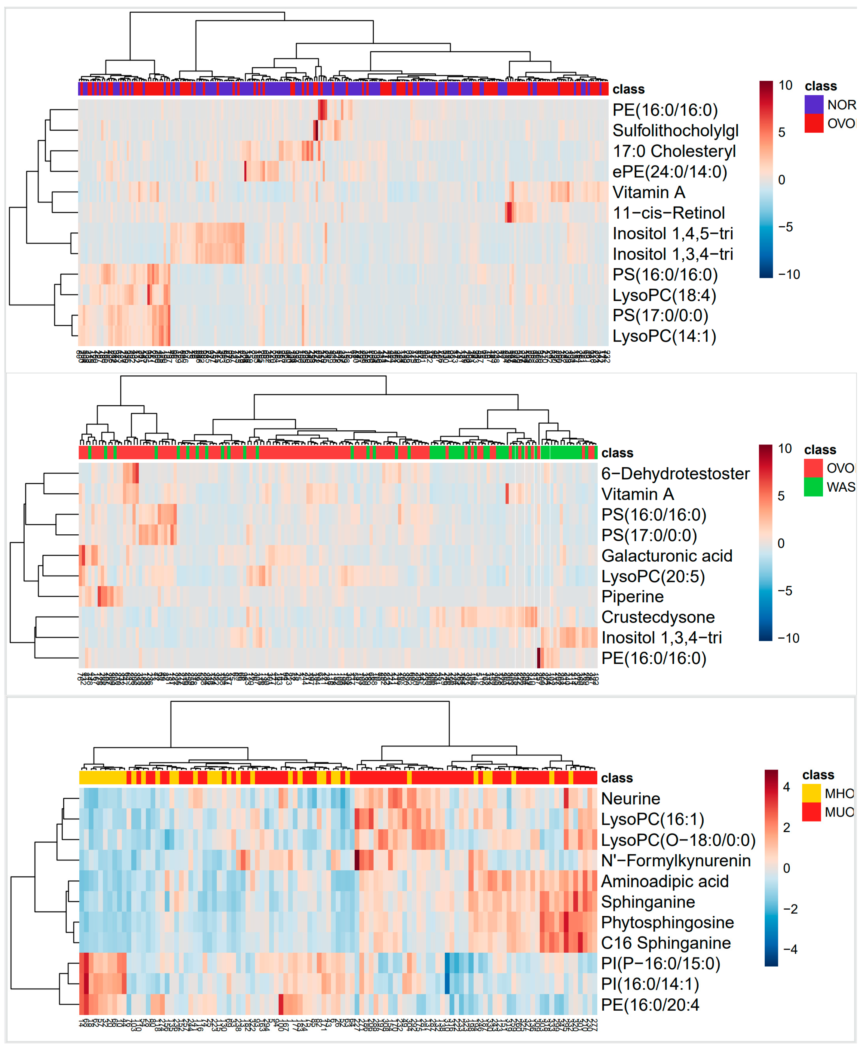 Nutrients 17 01876 g004