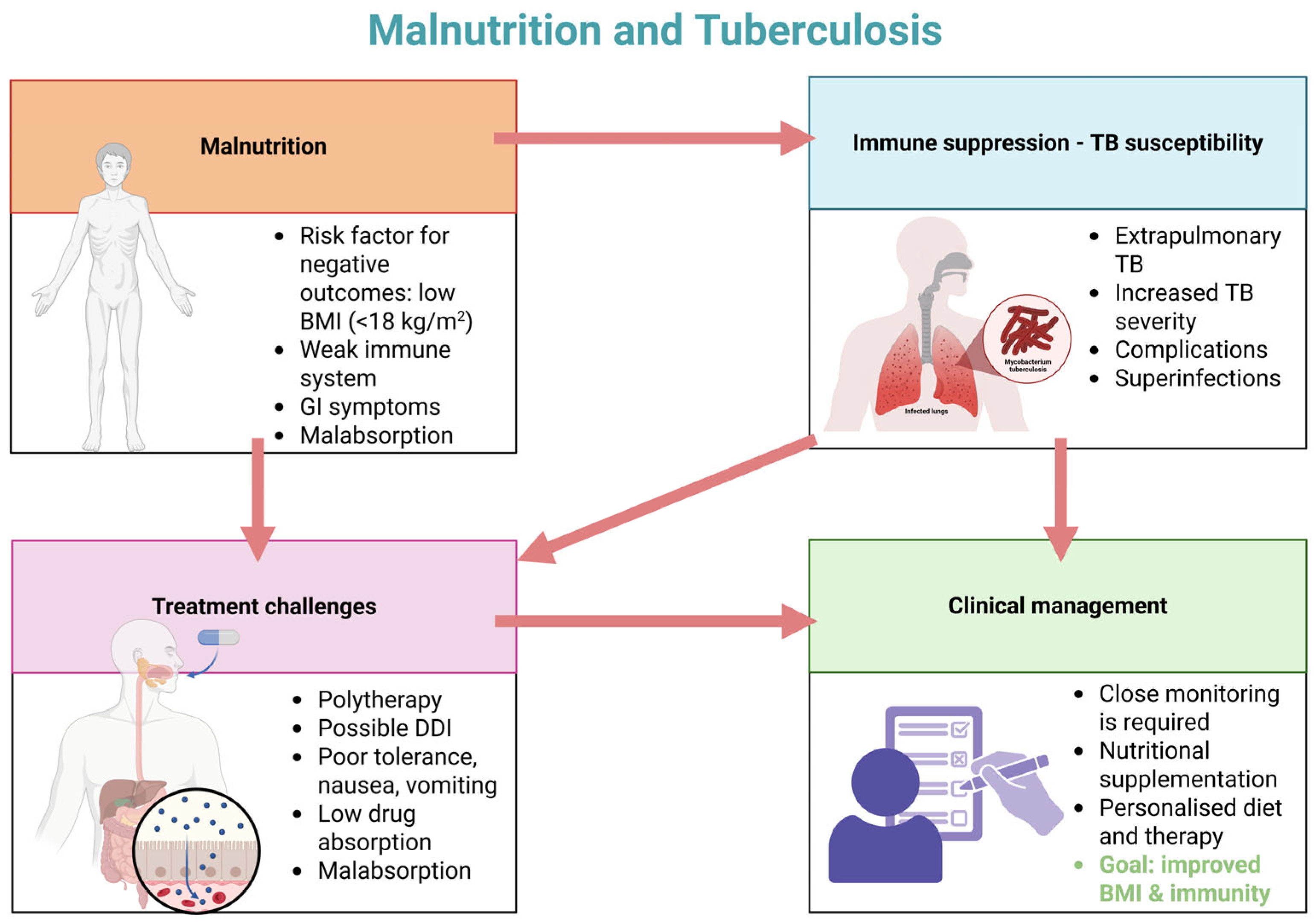 Nutrients 17 01878 g001
