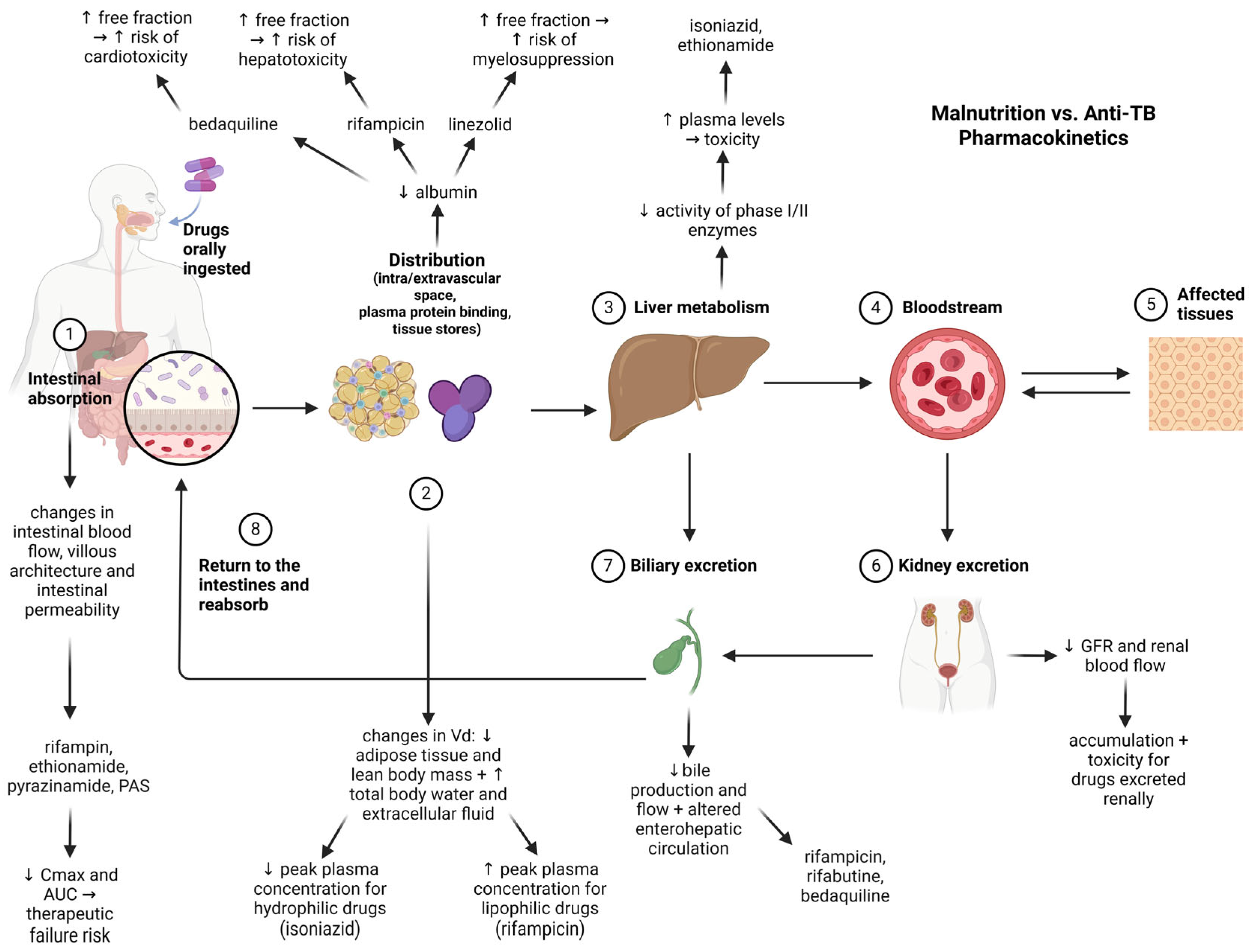 Nutrients 17 01878 g002