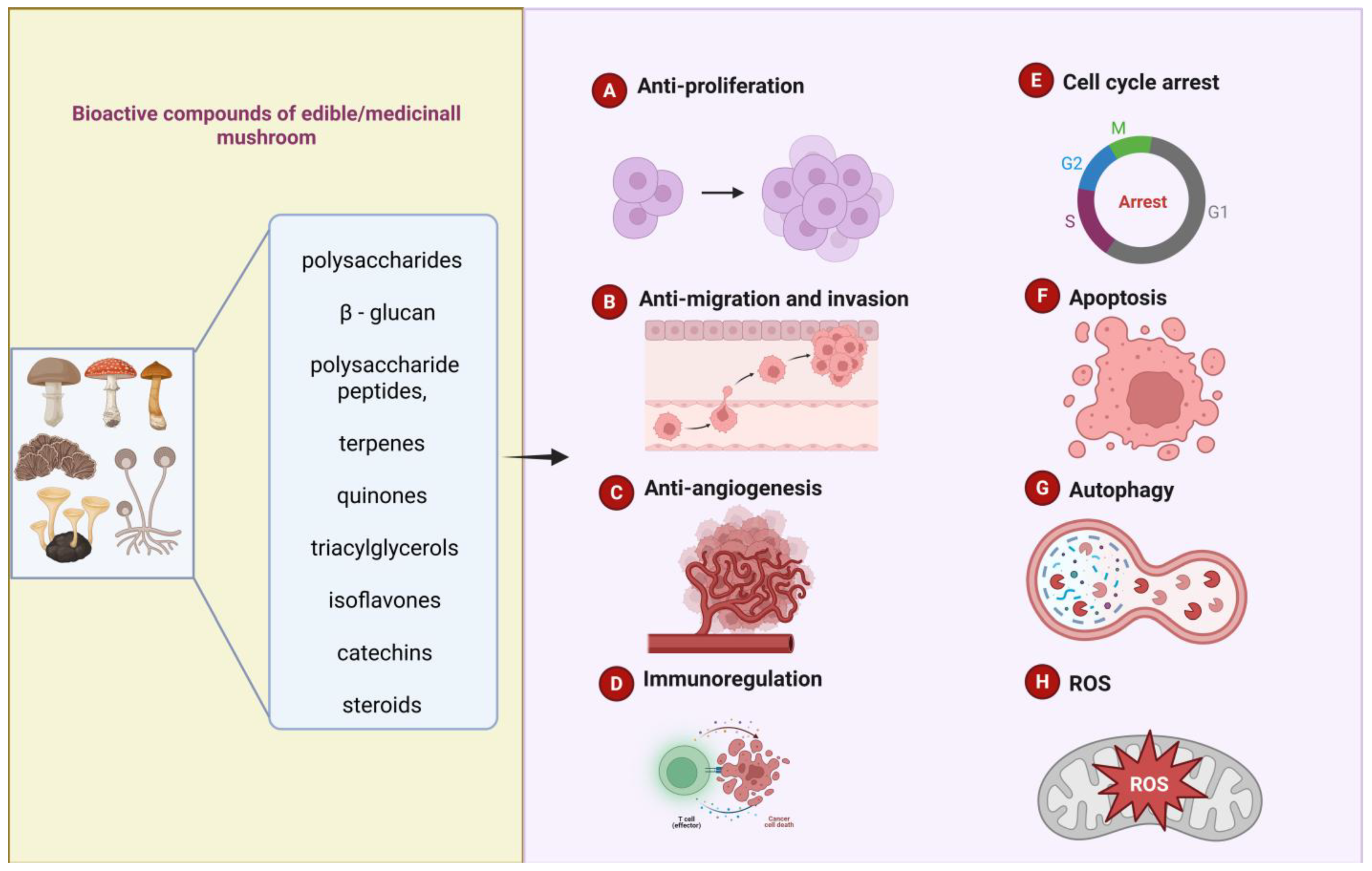 Nutrients 17 01887 g003