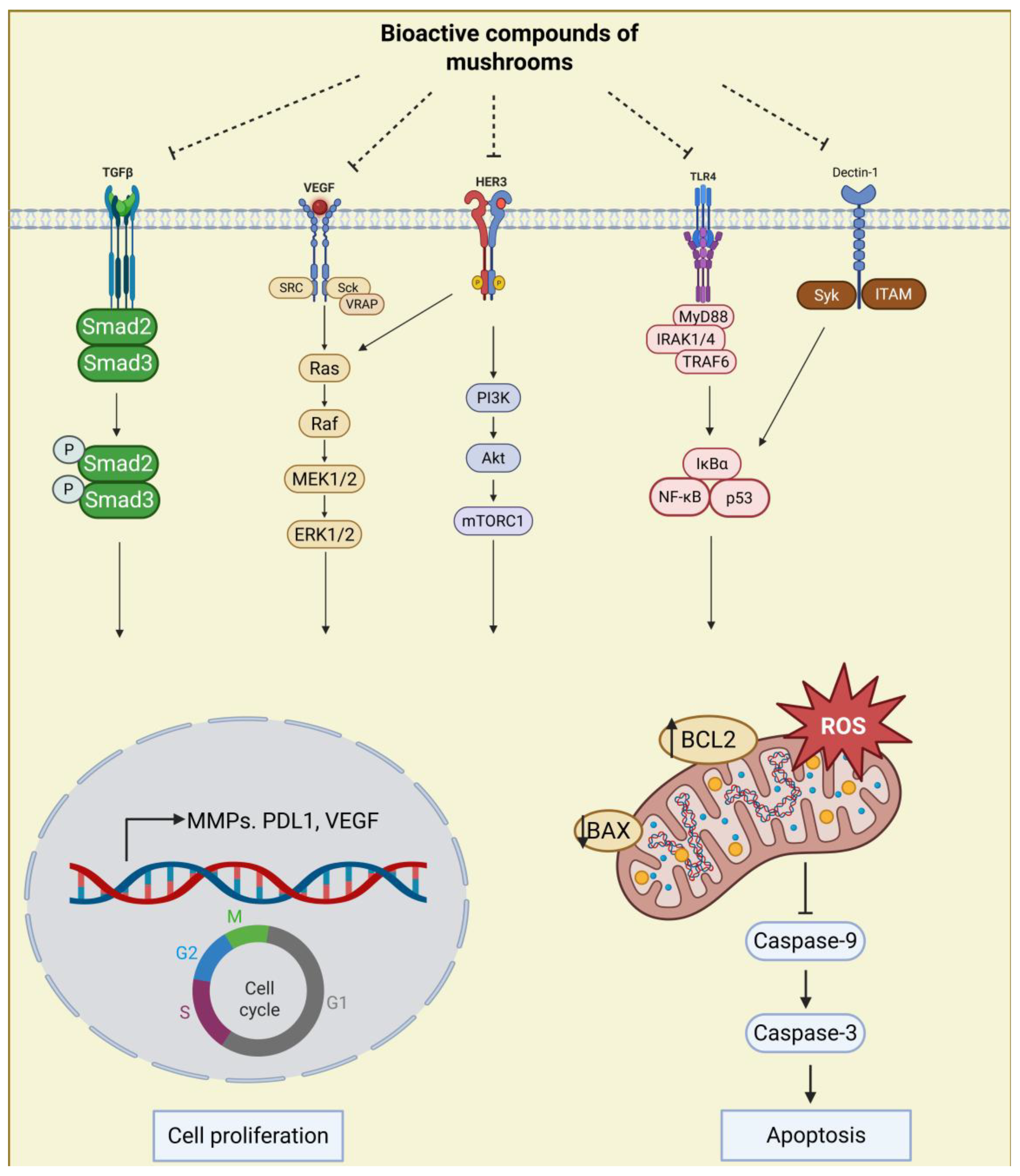 Nutrients 17 01887 g004
