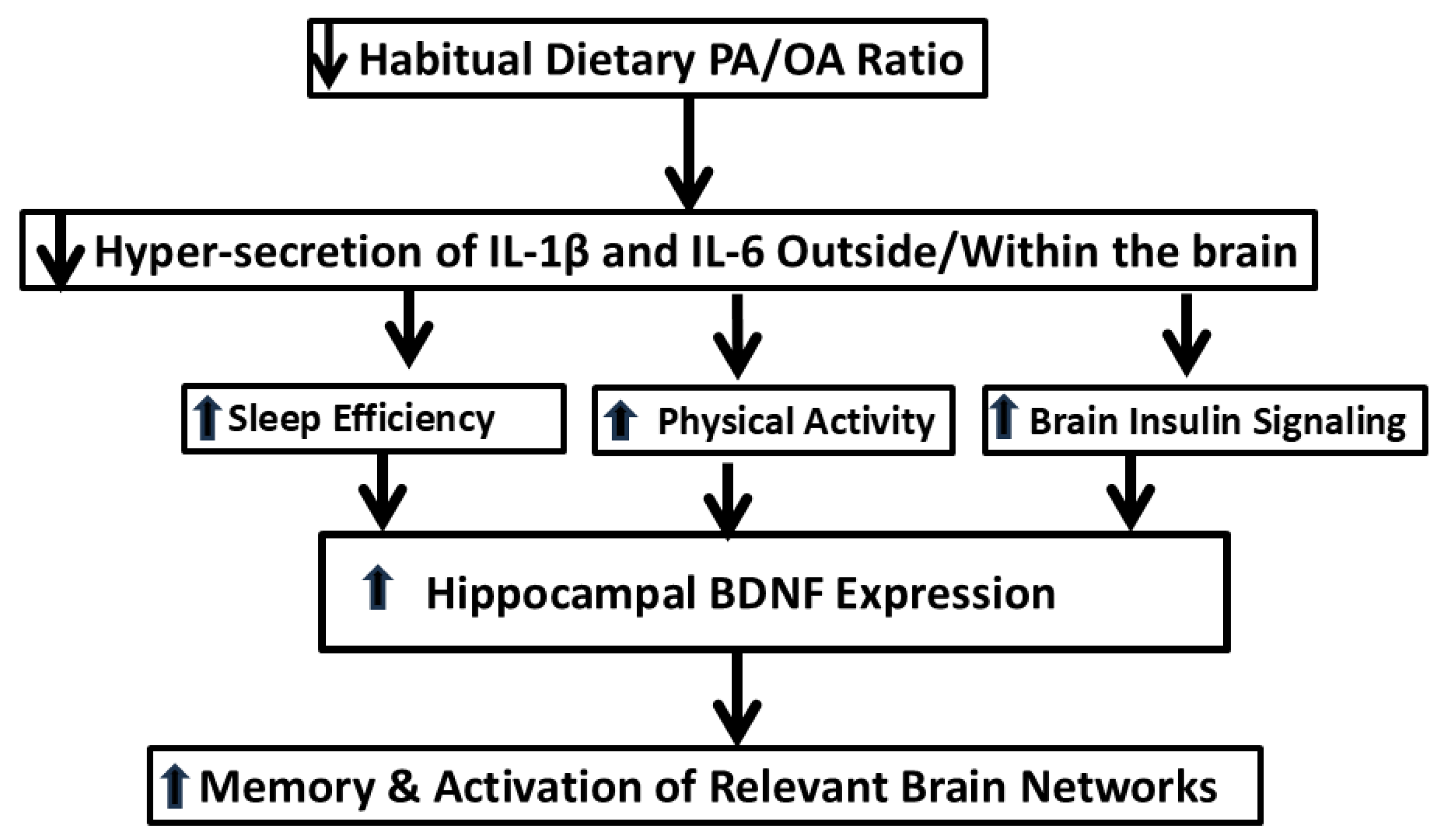 Nutrients 17 01897 g002