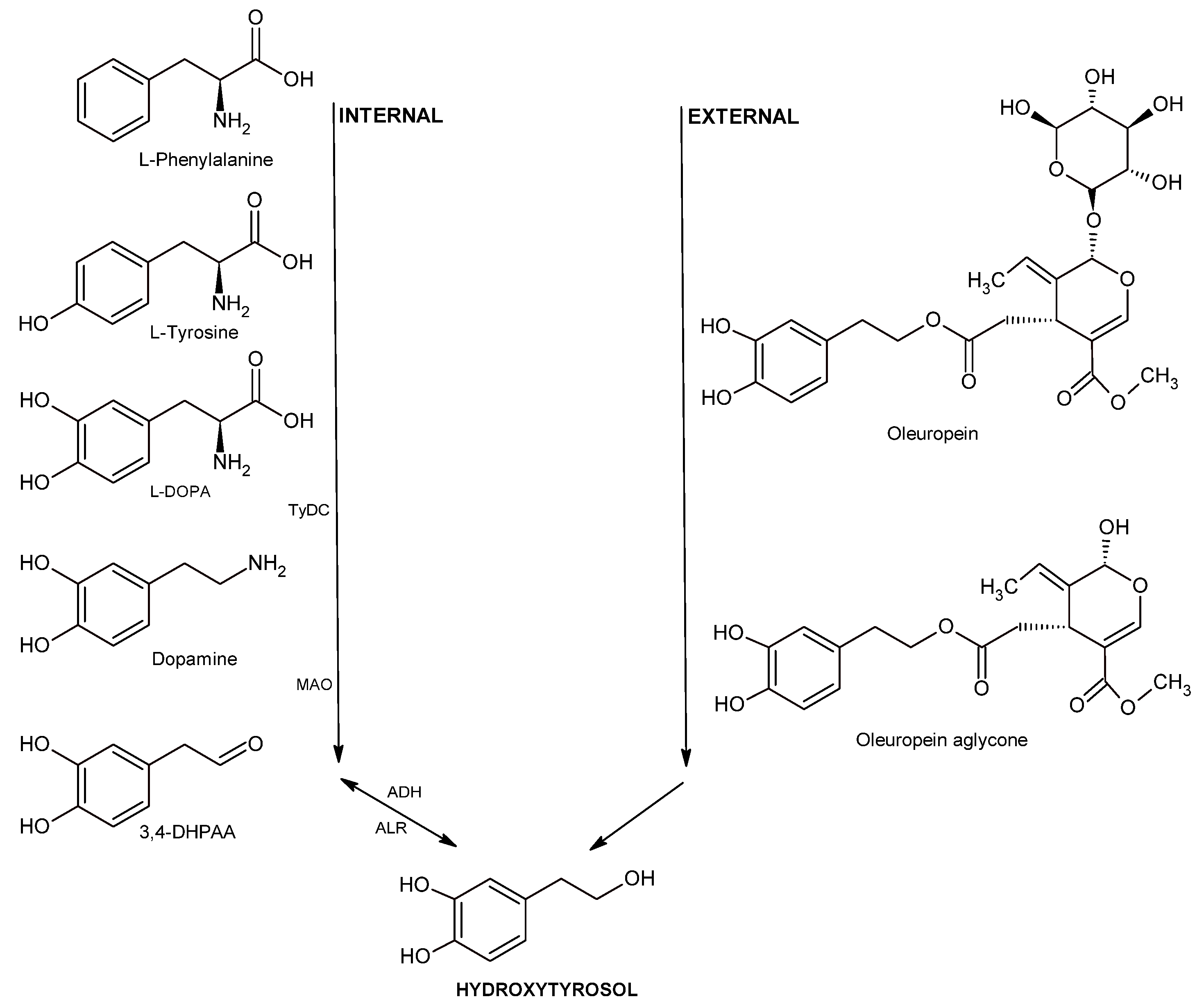 Nutrients 17 01905 g005