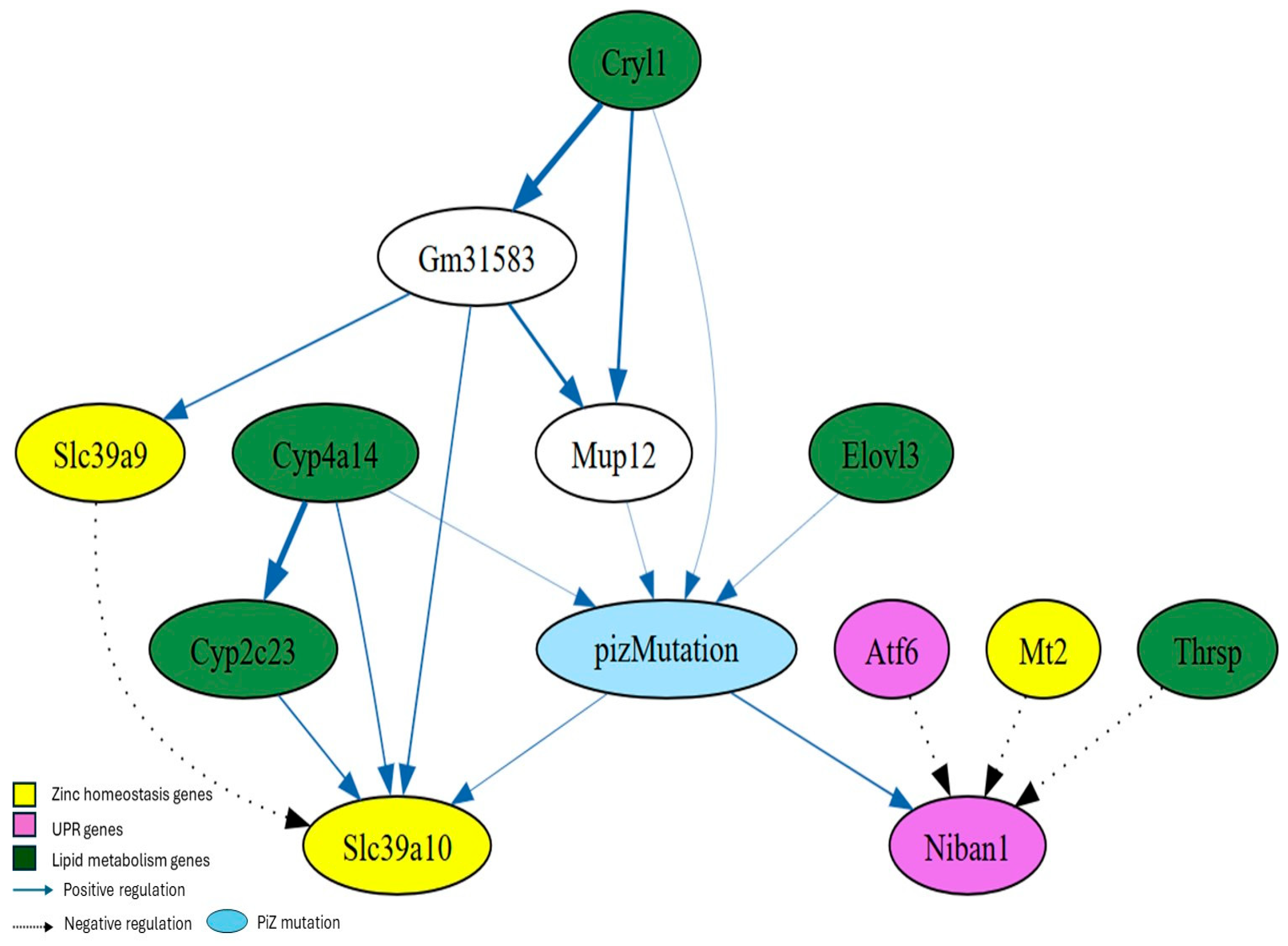 Nutrients 17 01913 g006 Nutrients 17 01913 g006