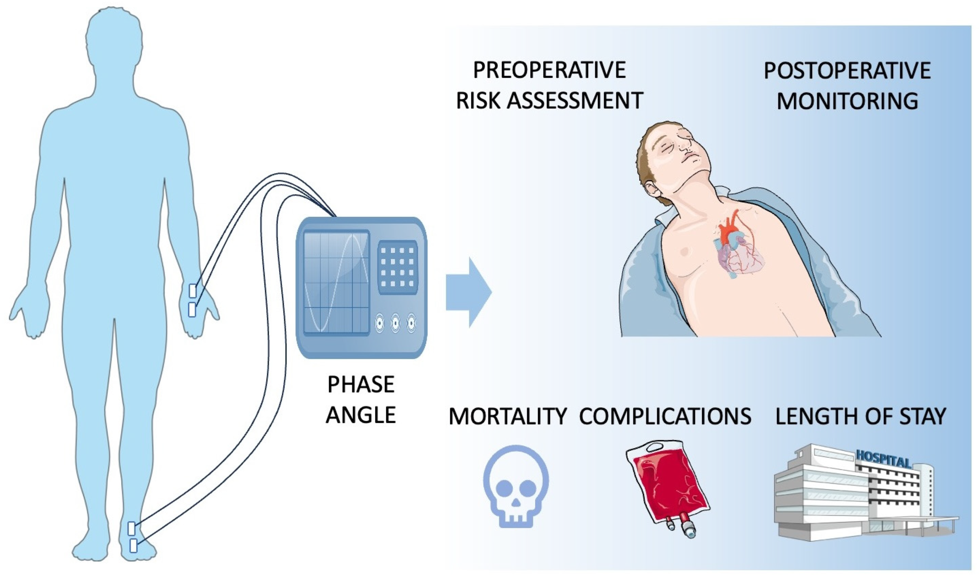 Nutrients 17 01914 g002