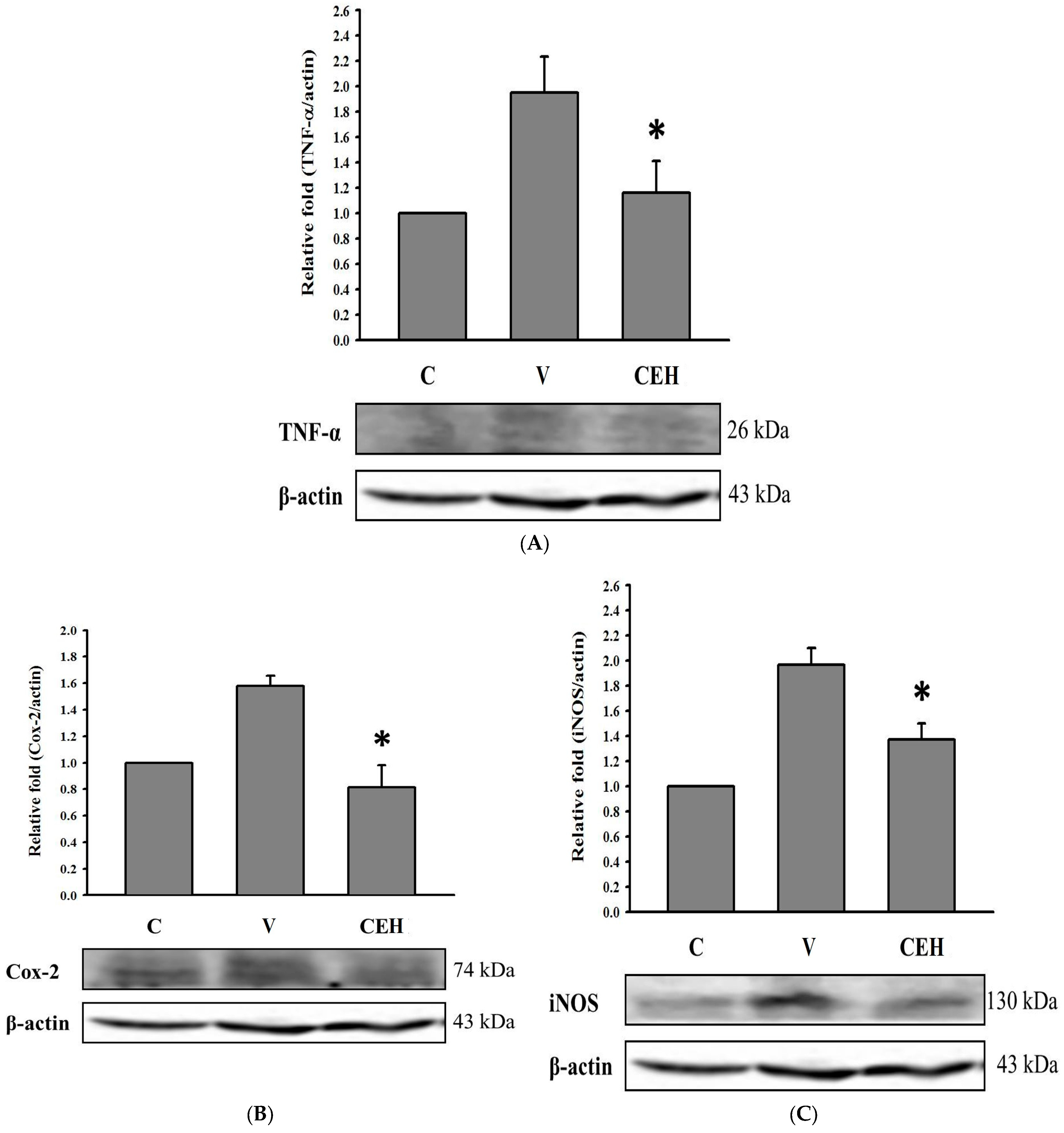 Nutrients 17 01915 g004