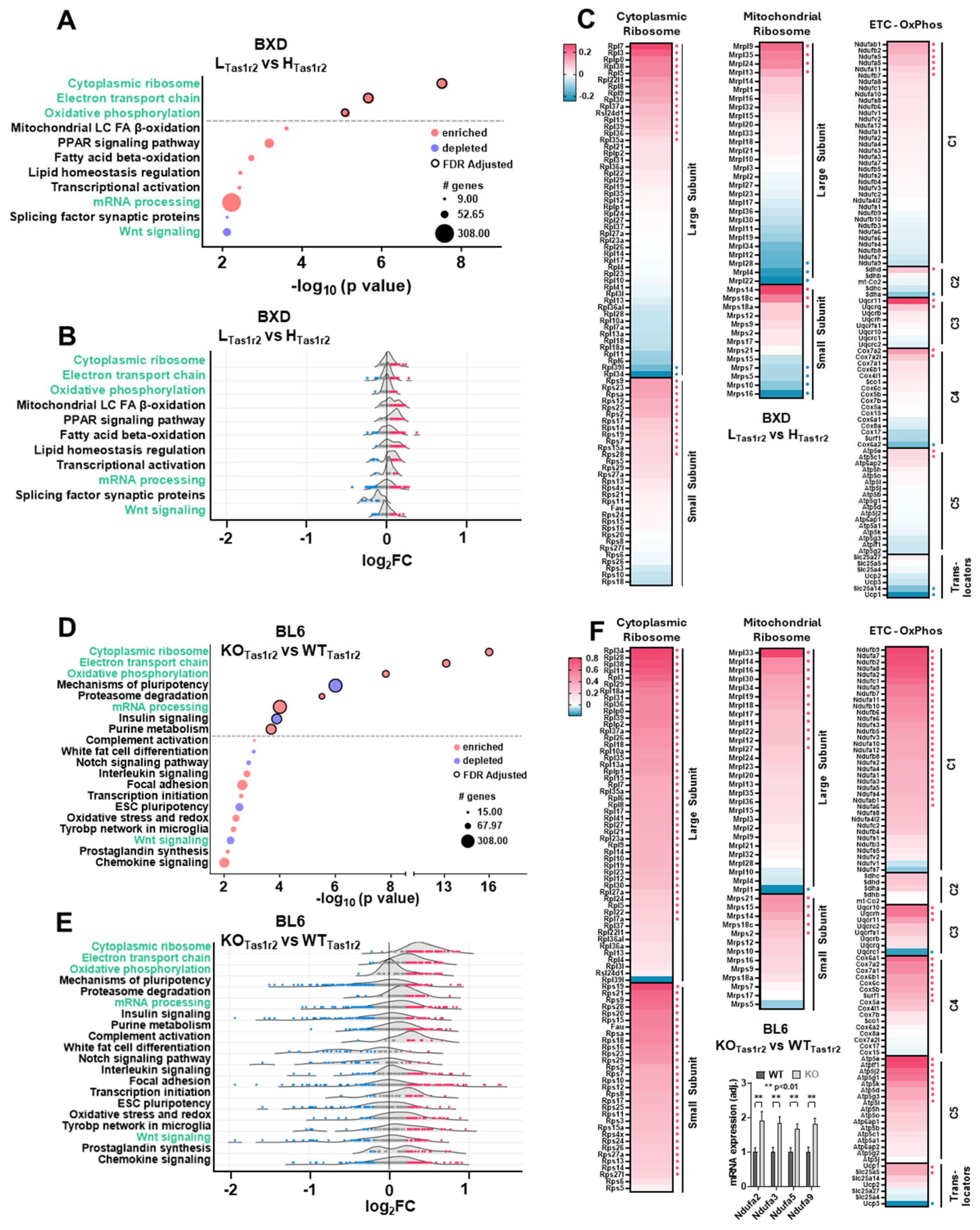 Nutrients 17 01918 g002