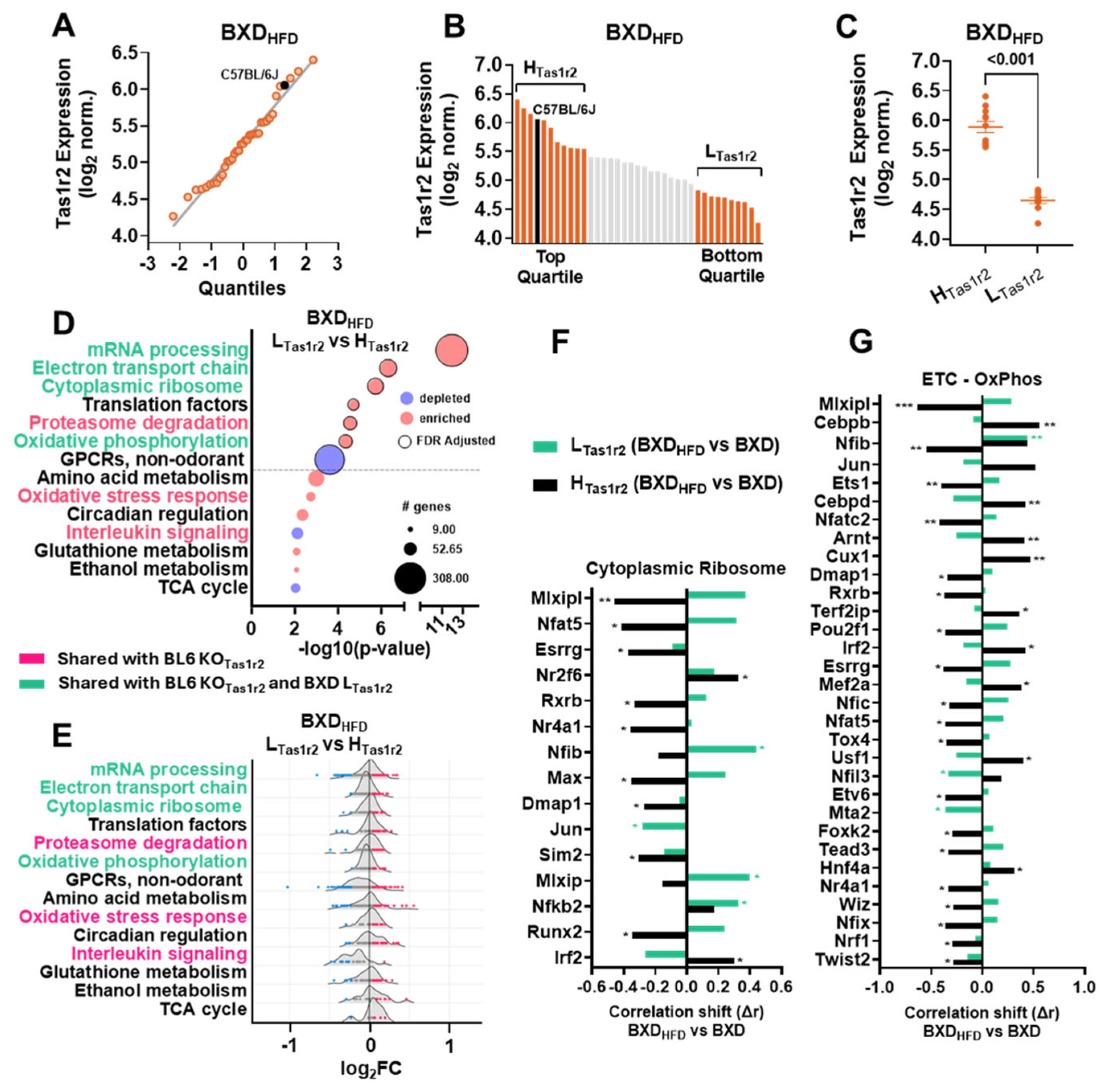 Nutrients 17 01918 g004