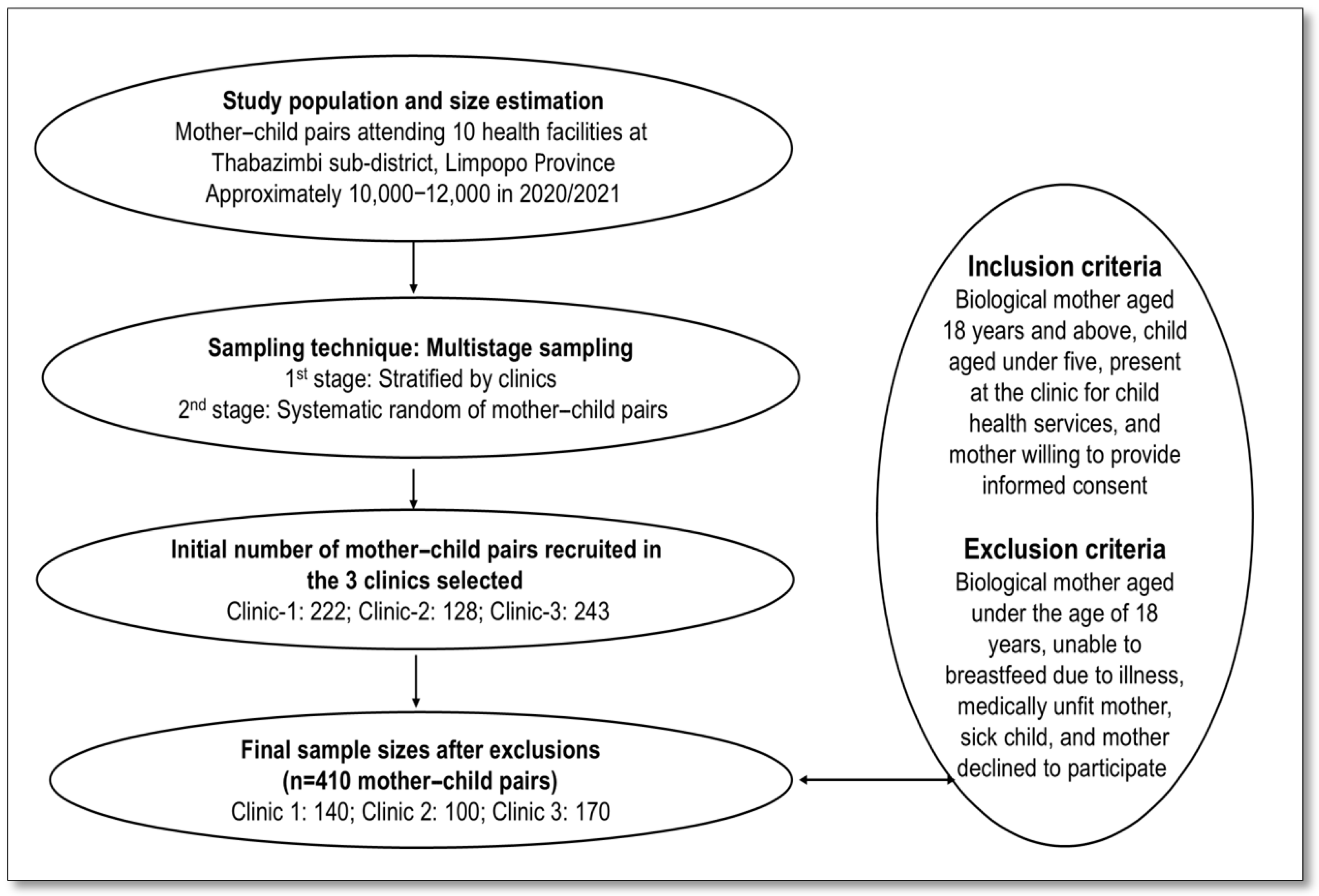 Nutrients 17 01919 g001