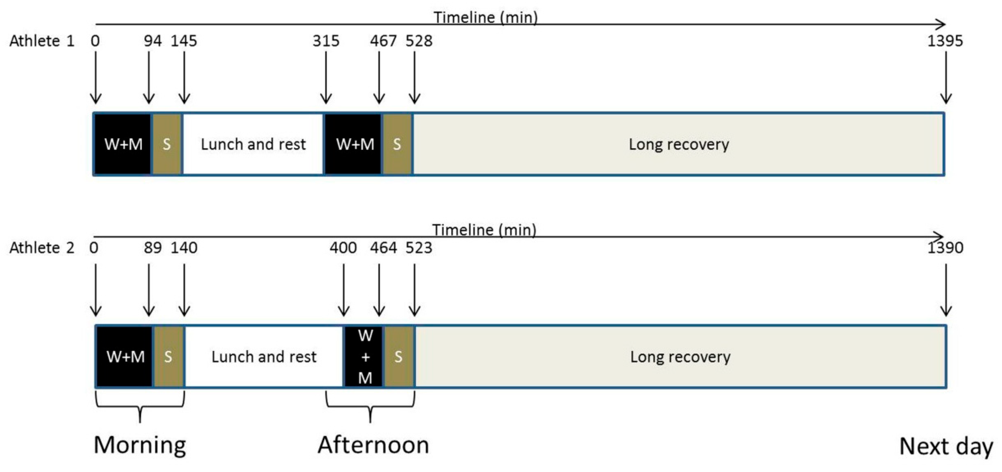 Nutrients 17 01924 g001