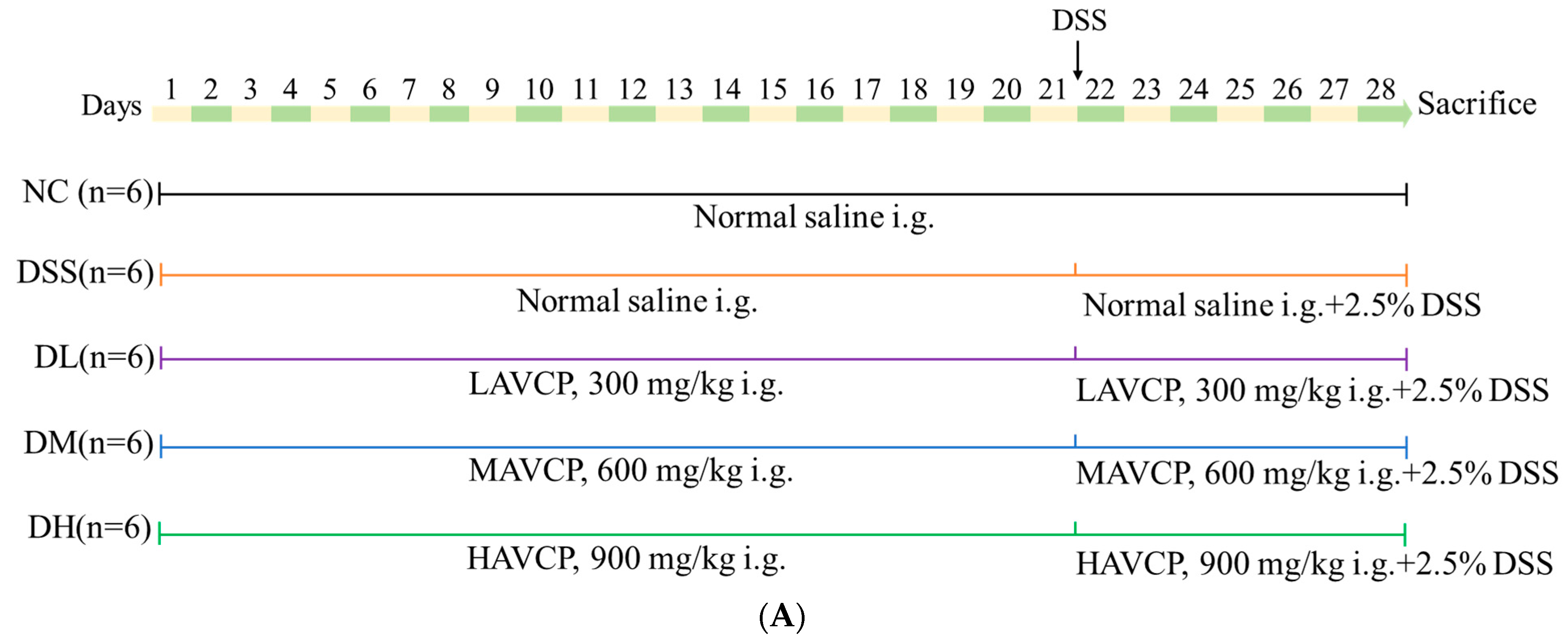 Nutrients 17 01926 g002a