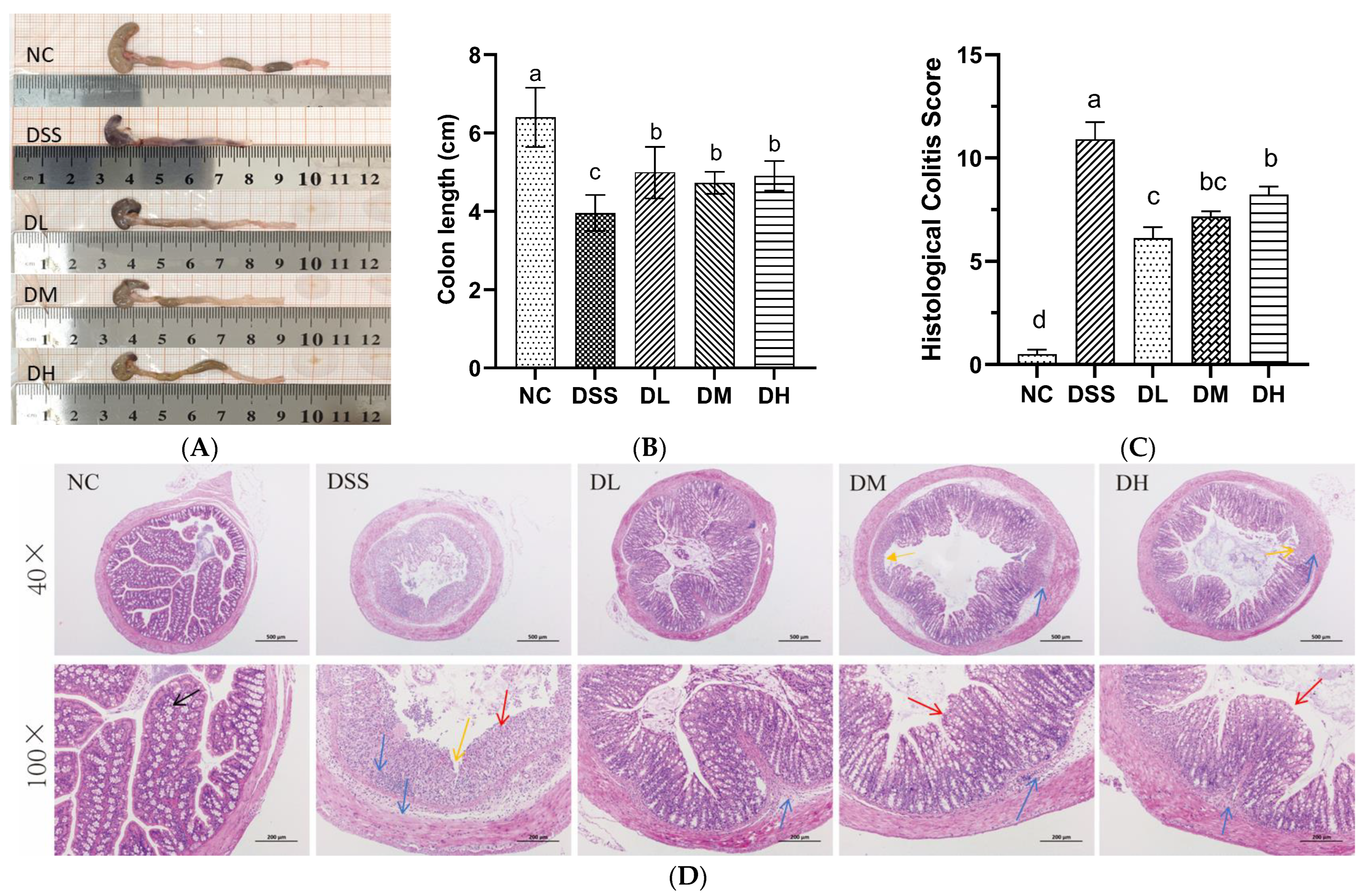 Nutrients 17 01926 g003