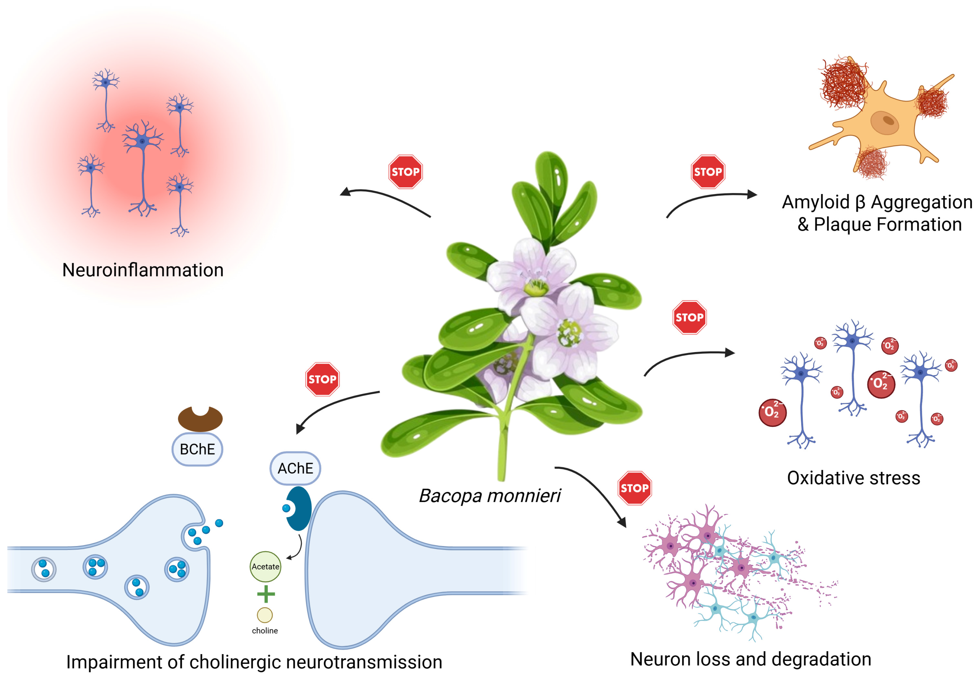 Nutrients 17 01939 g004