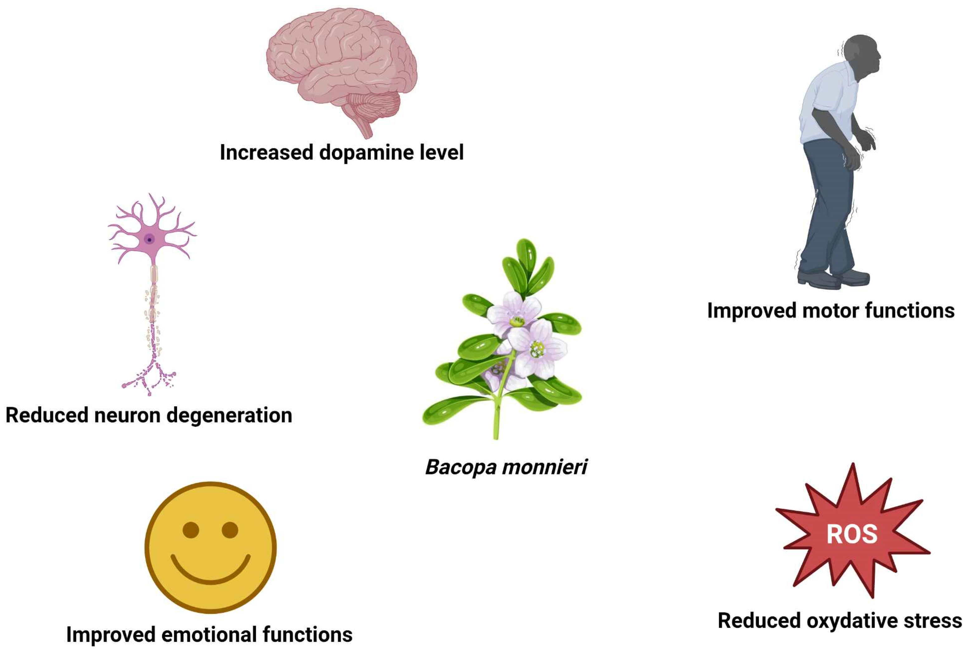 Nutrients 17 01939 g006