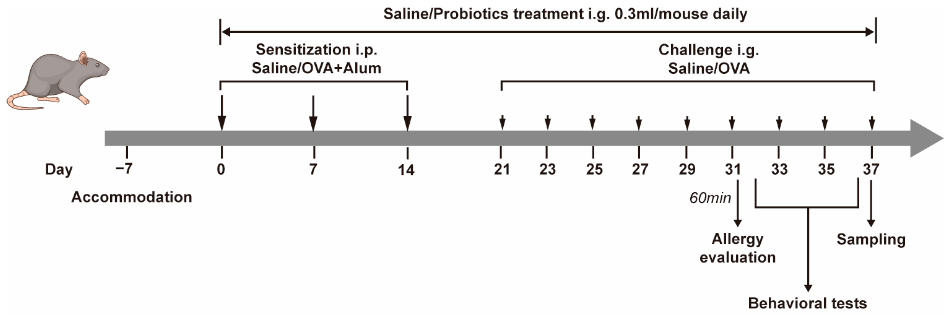 Nutrients 17 01955 g001