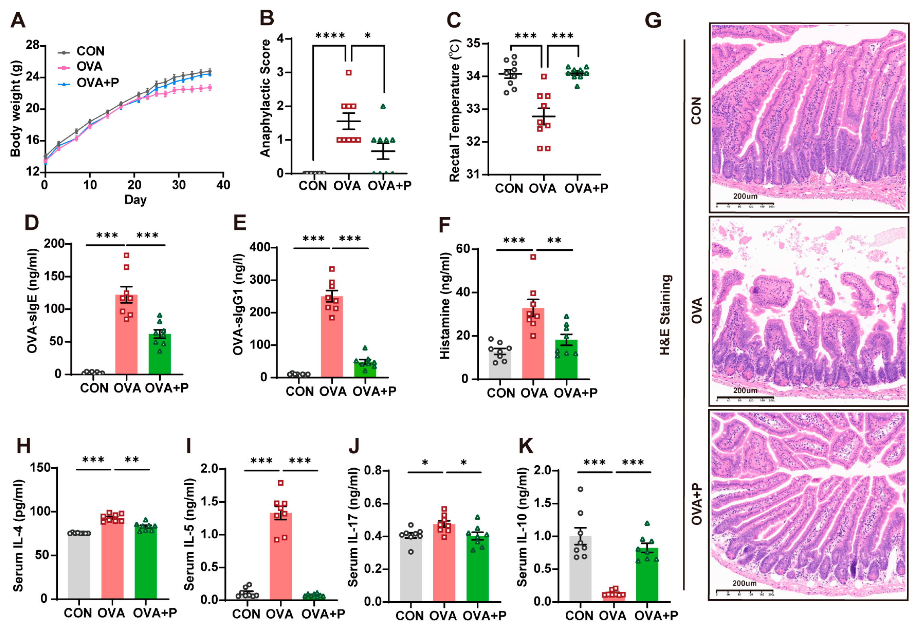 Nutrients 17 01955 g002