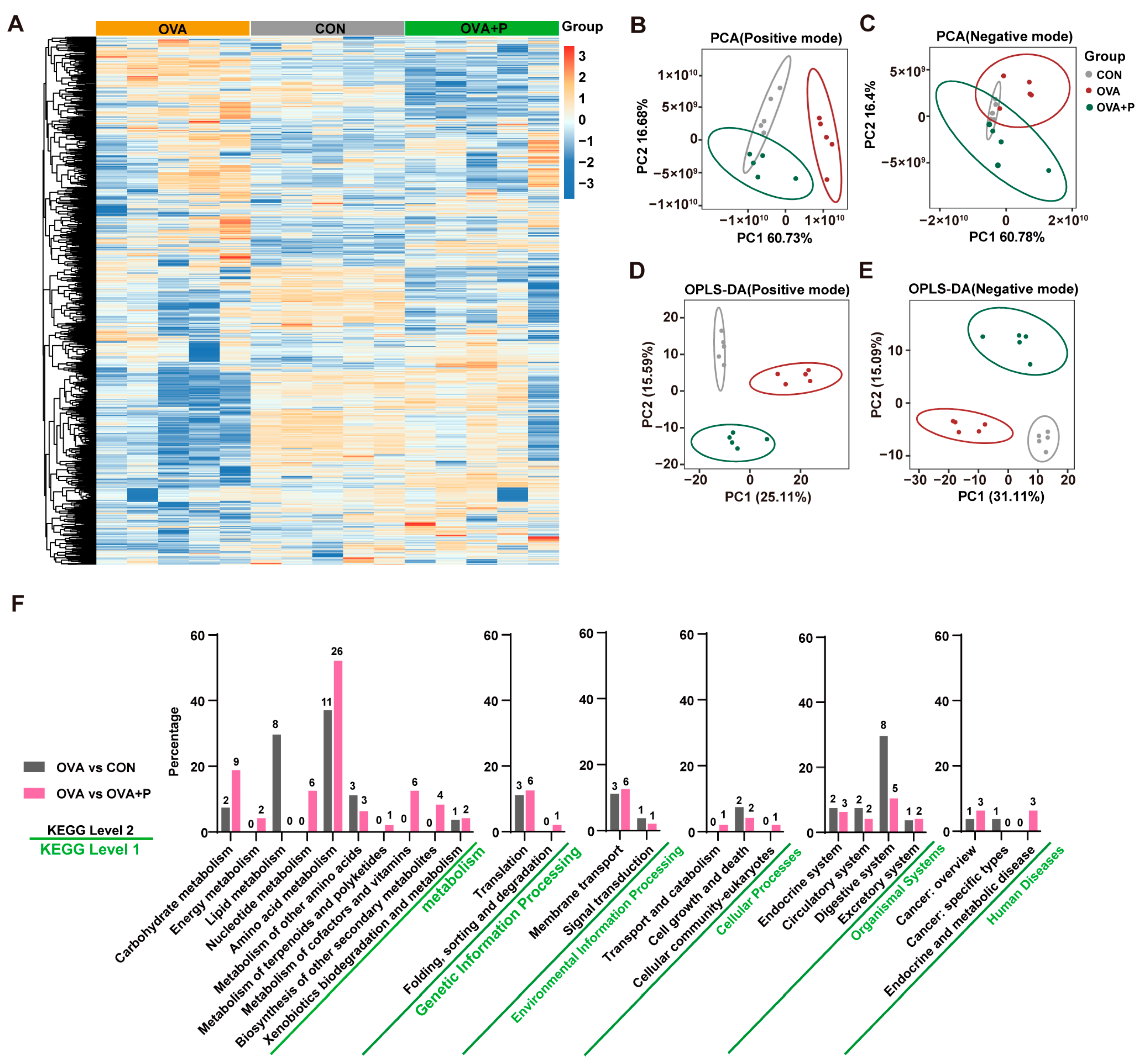Nutrients 17 01955 g006