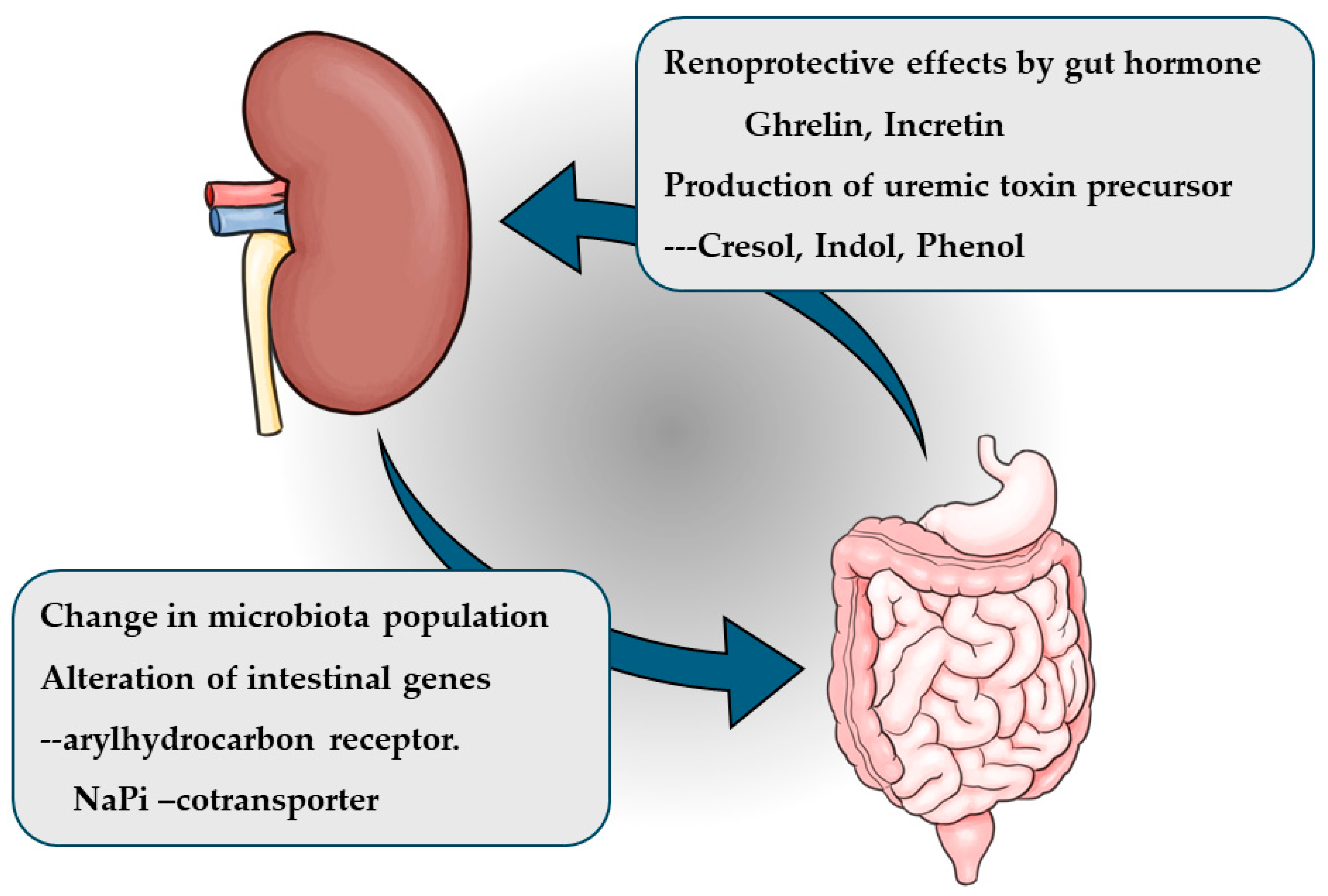 Nutrients 17 01961 g001