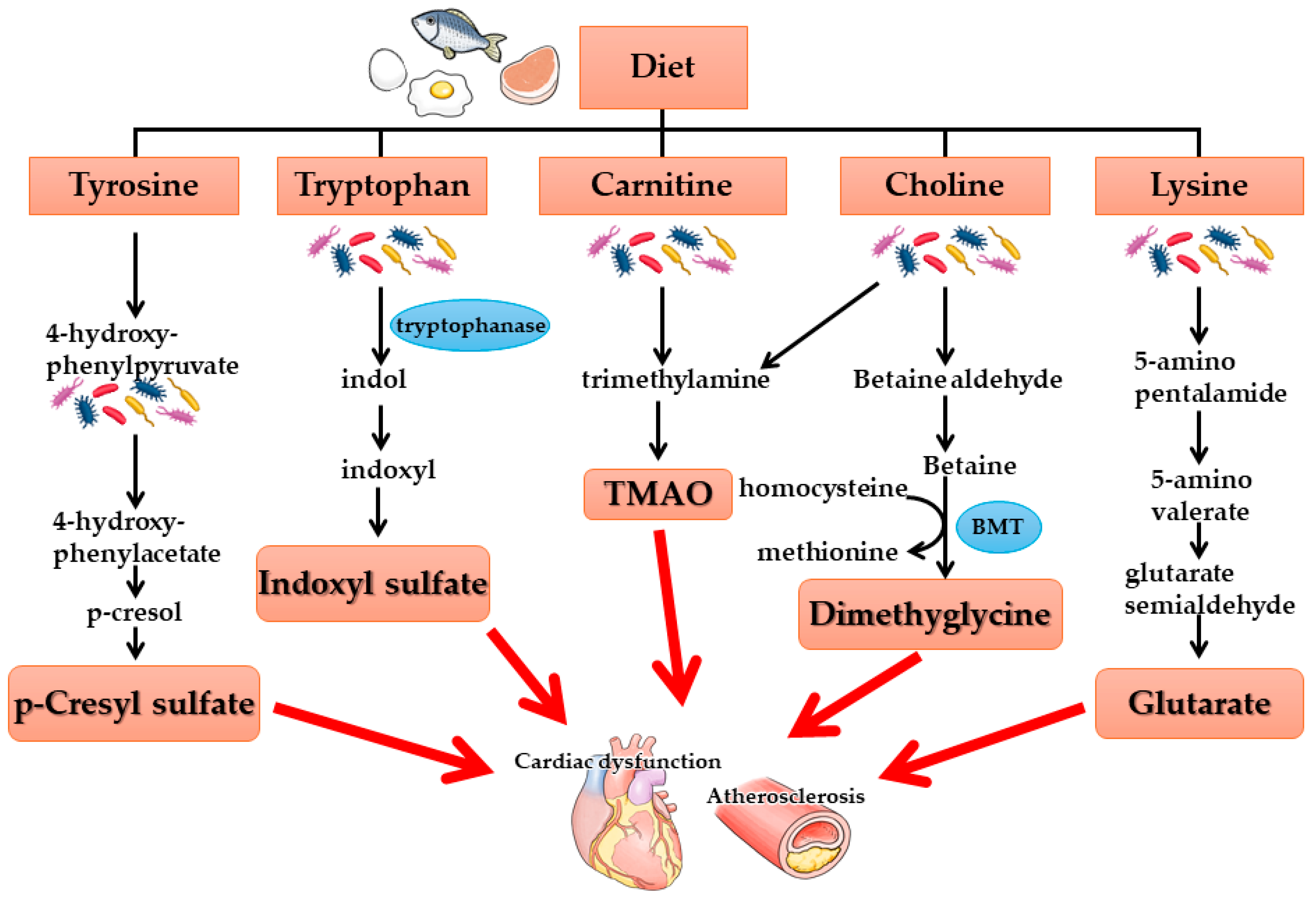 Nutrients 17 01961 g002