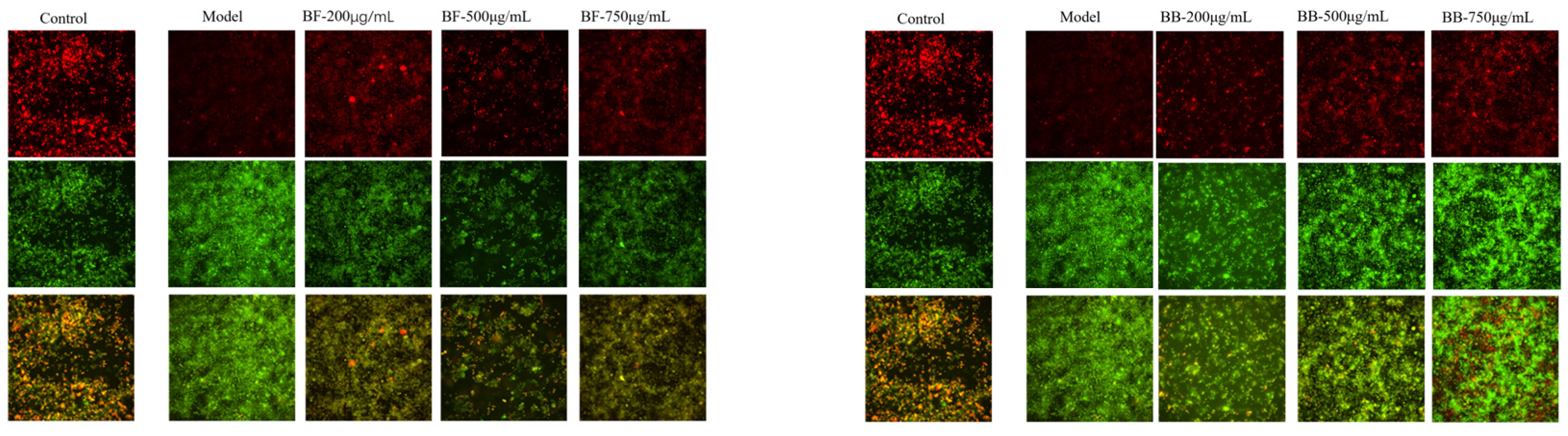 Nutrients 17 01962 g005b