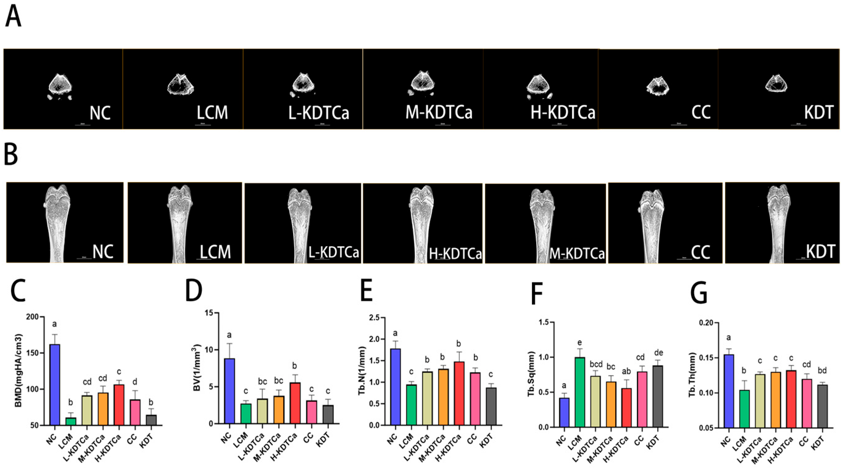 Nutrients 17 01966 g006 Nutrients 17 01966 g006