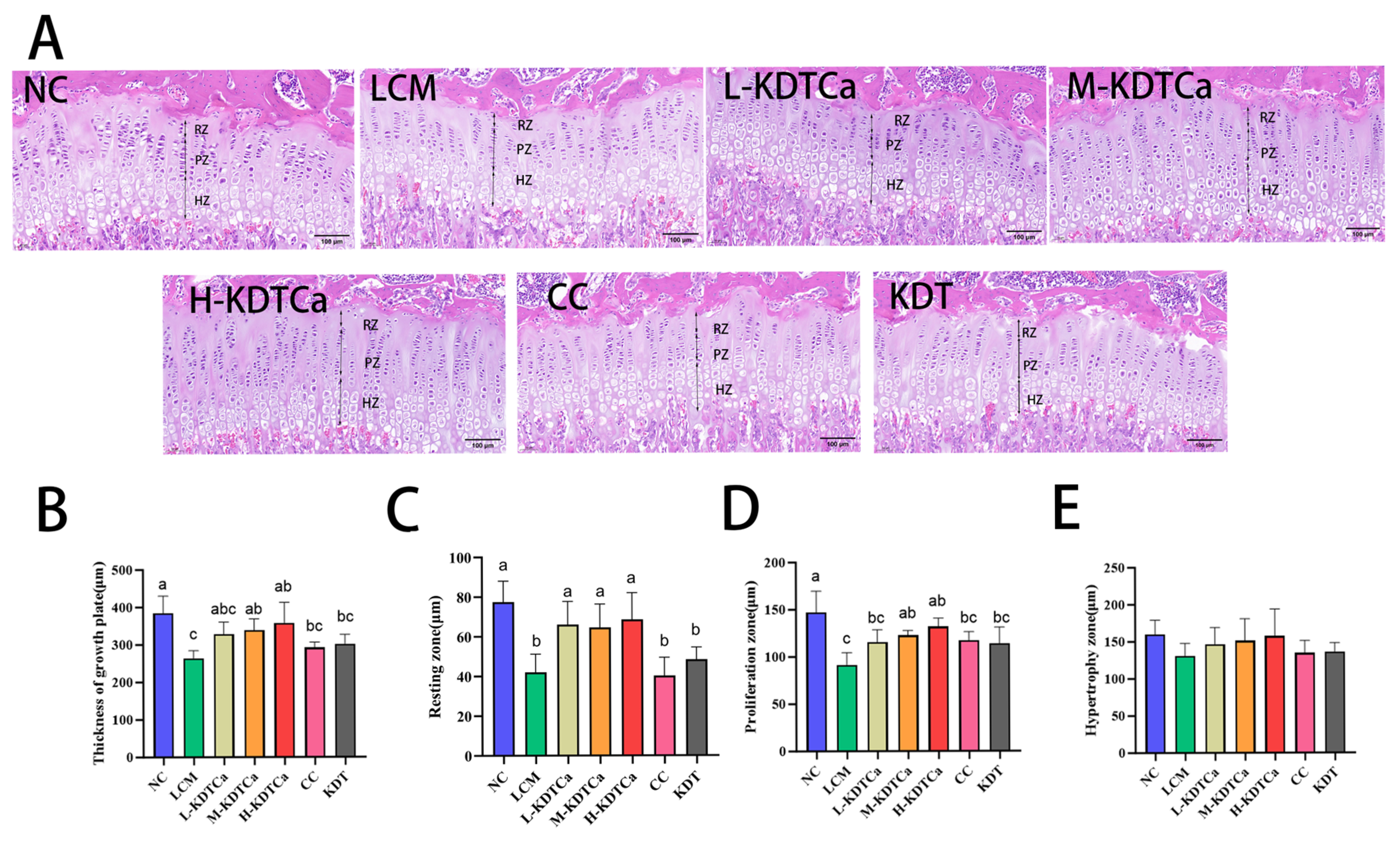 Nutrients 17 01966 g007 Nutrients 17 01966 g007