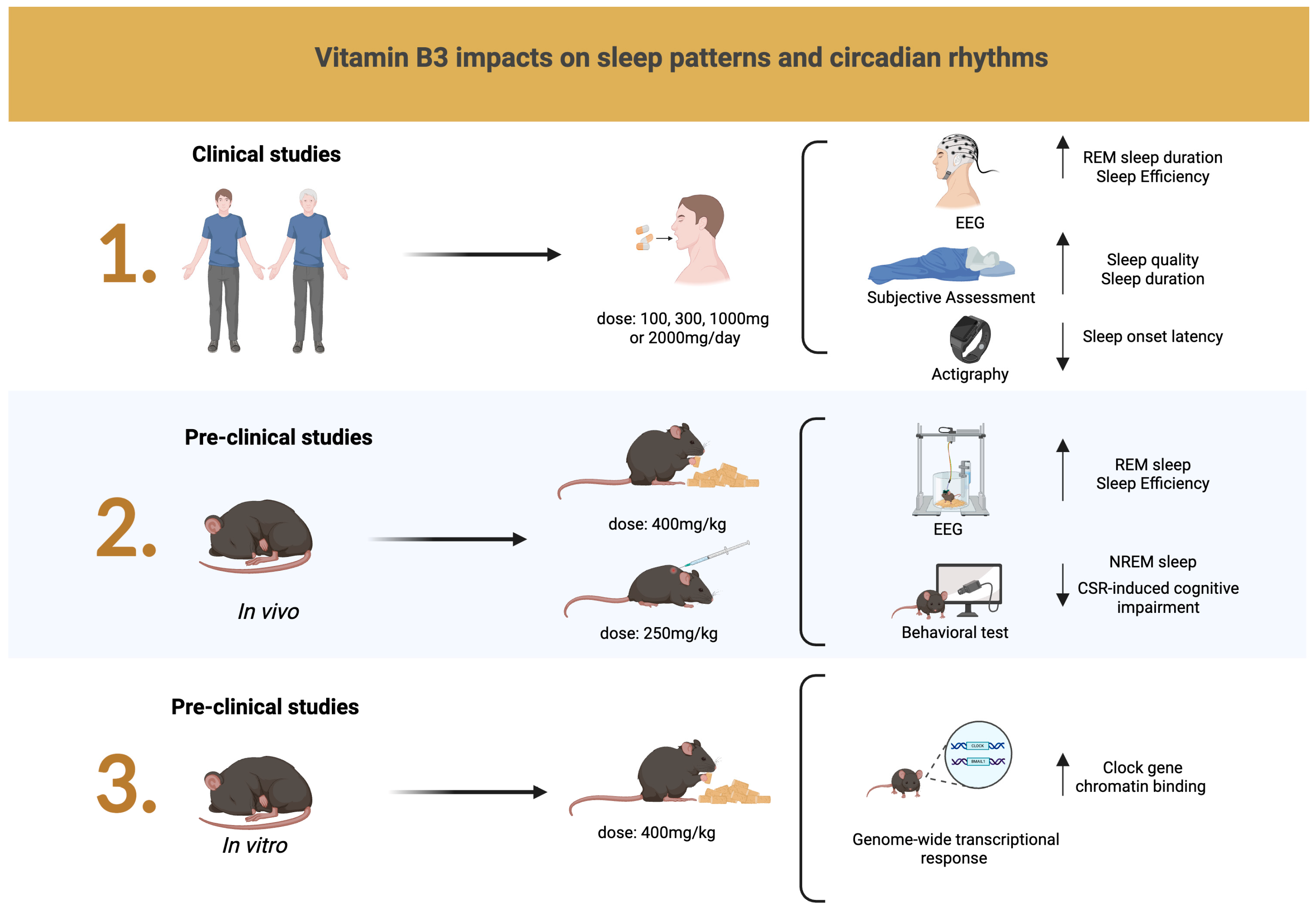 Nutrients 17 01982 g003