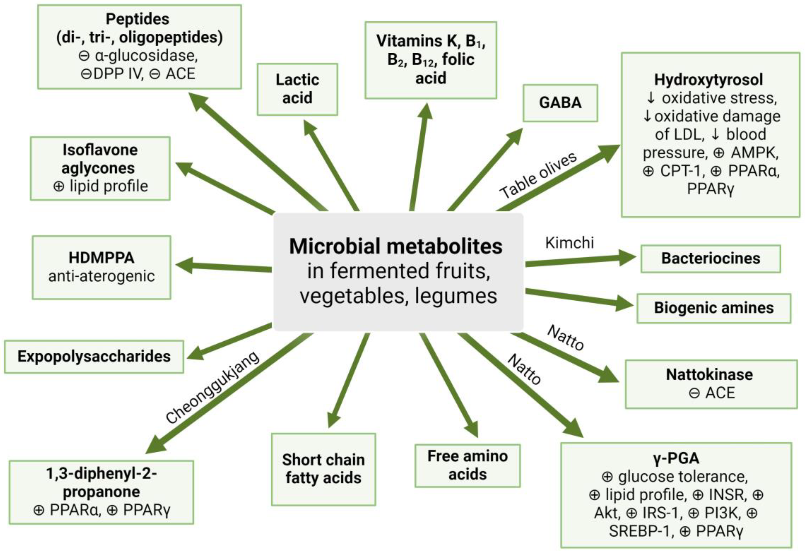 Nutrients 17 01989 g002 Nutrients 17 01989 g002