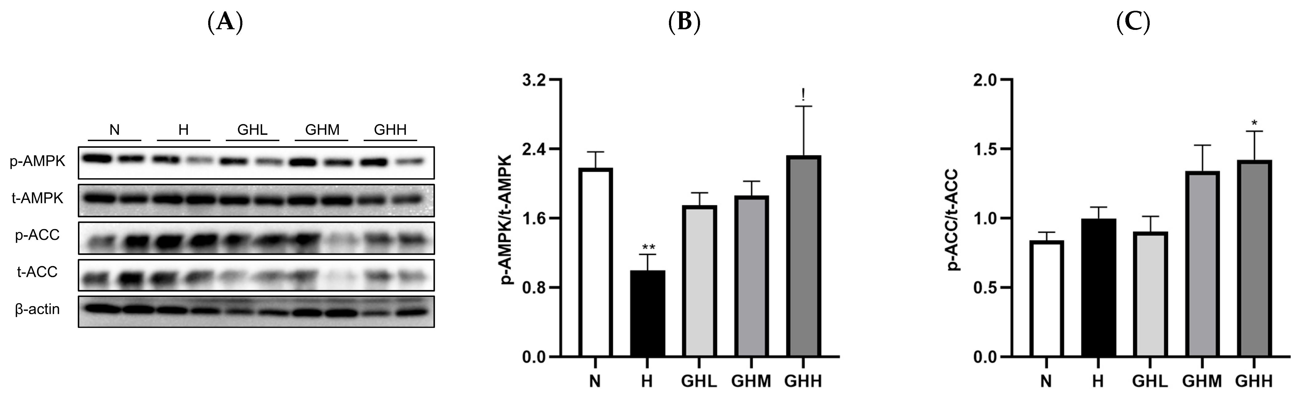 Nutrients 17 01990 g005