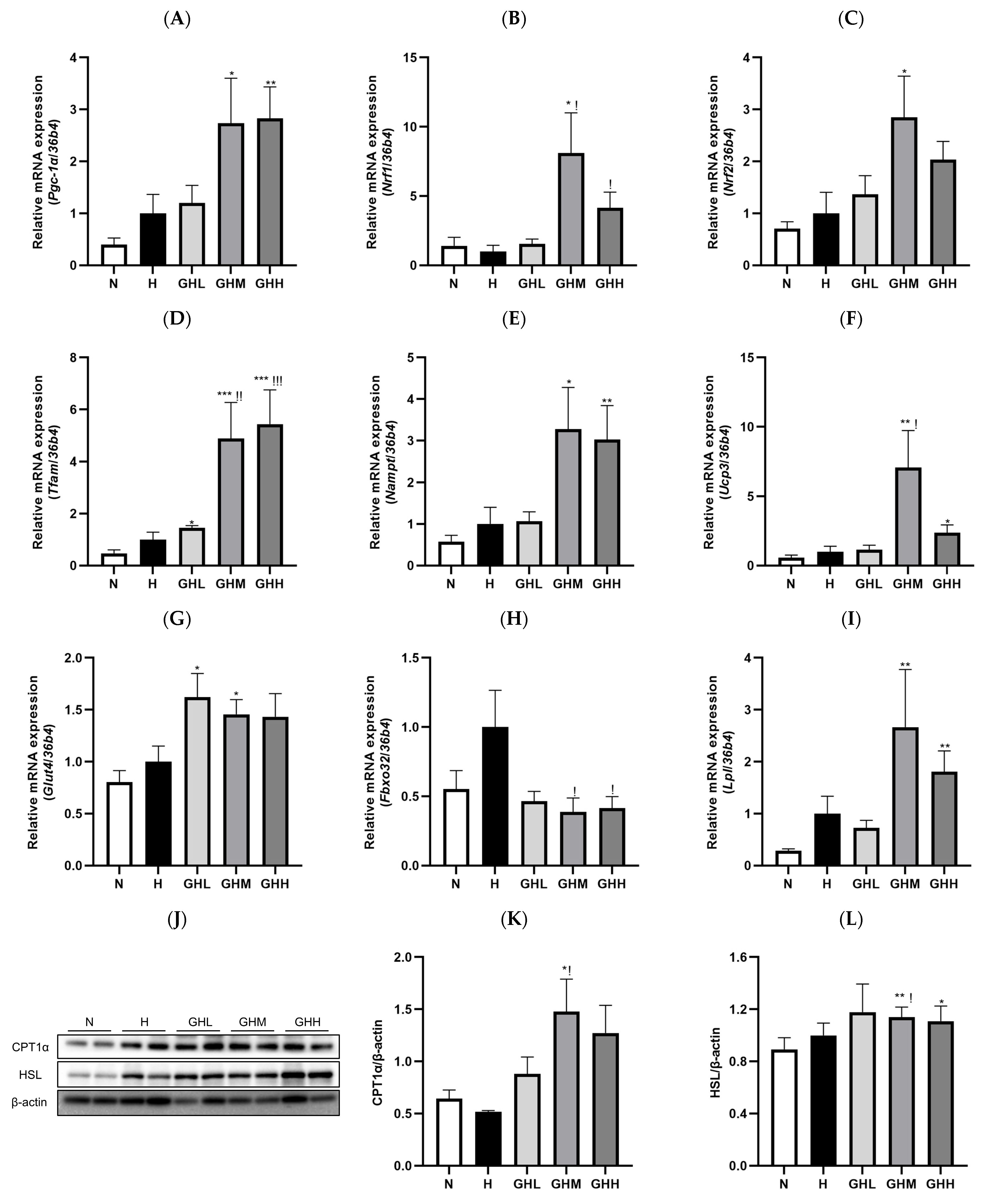 Nutrients 17 01990 g006