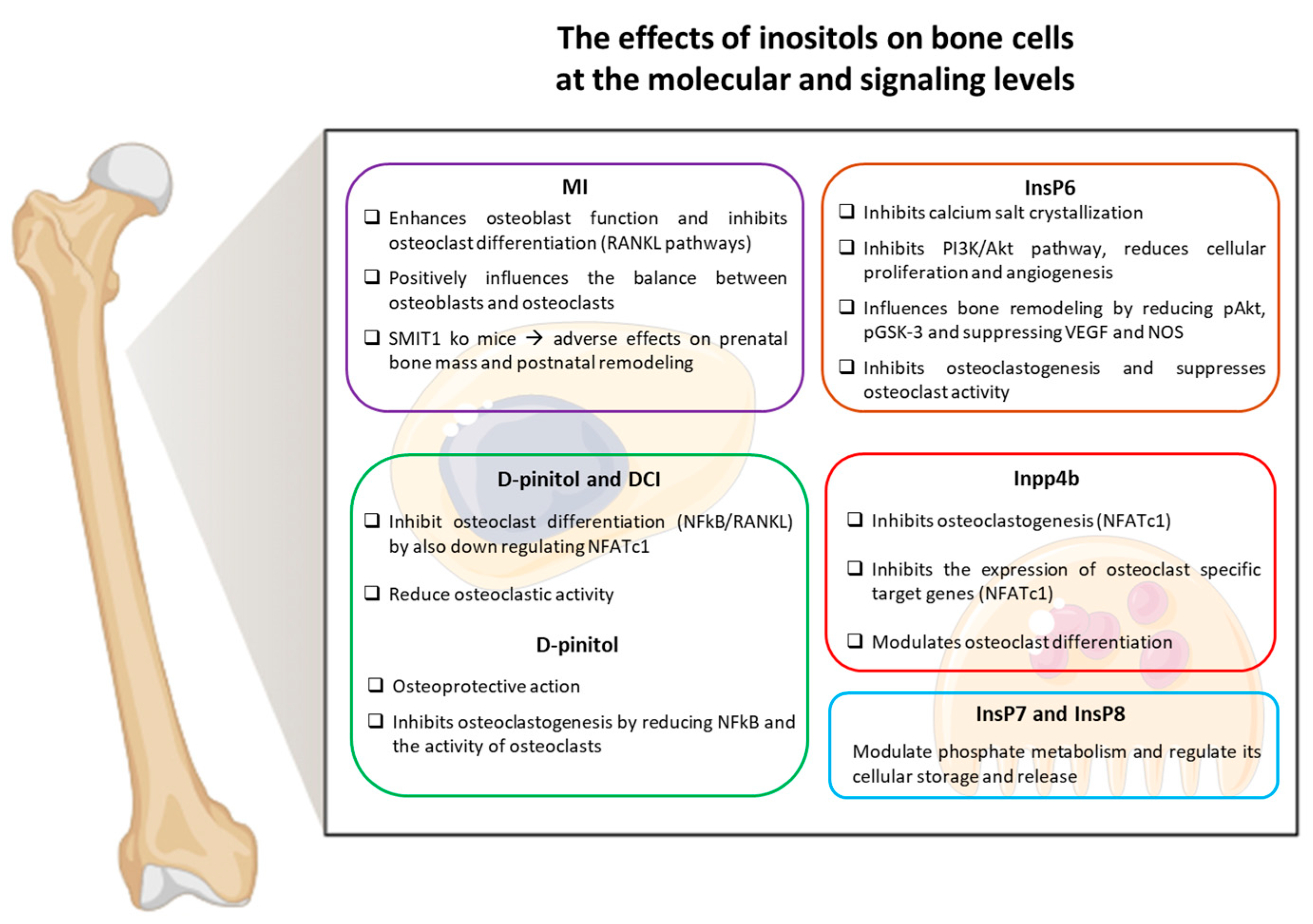 Nutrients 17 01999 g002