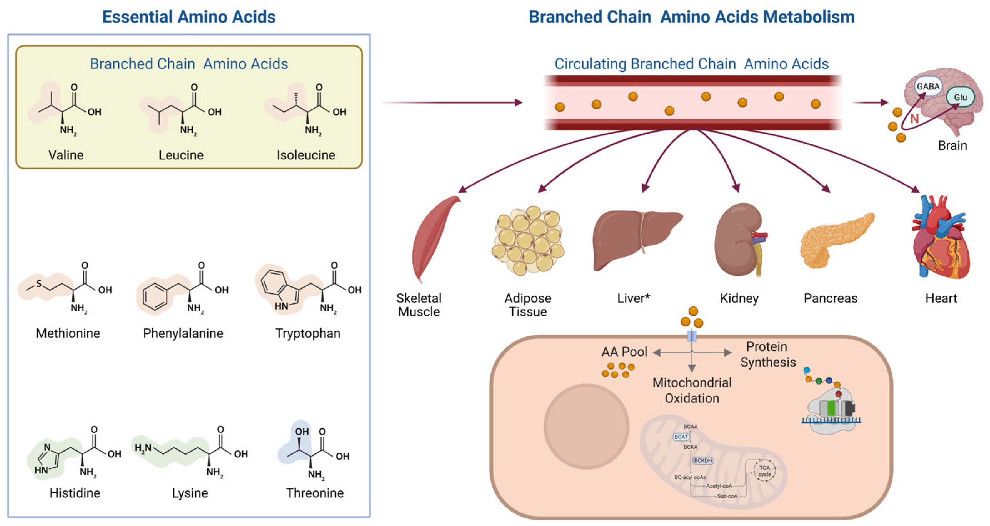 Nutrients 17 02000 g001