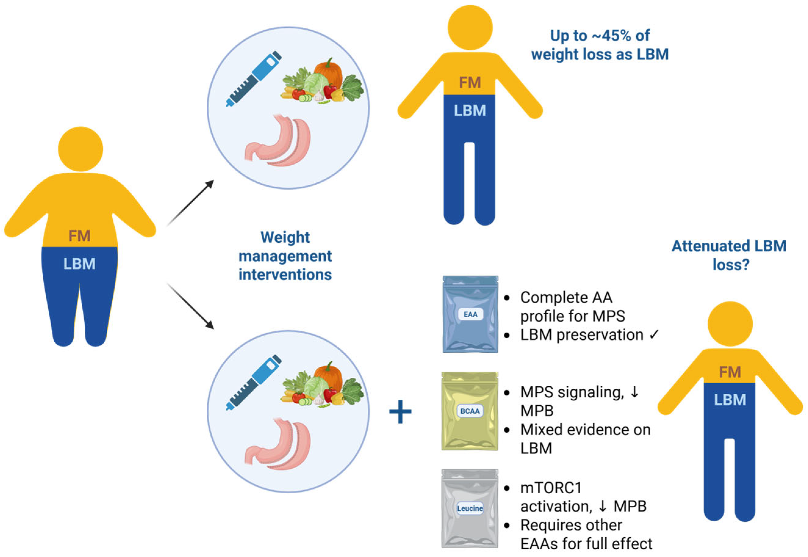Nutrients 17 02000 g002
