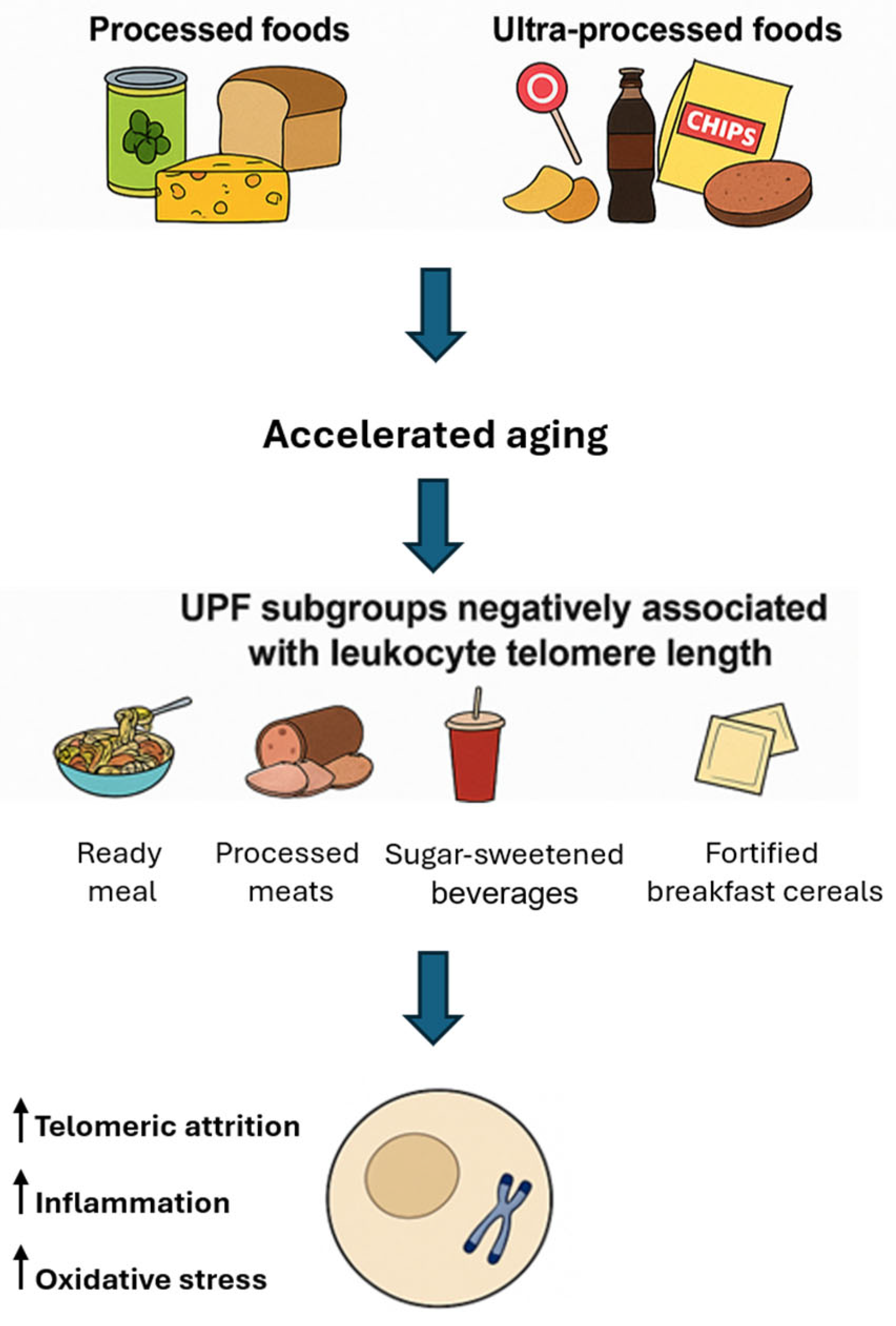 Nutrients 17 02004 g002