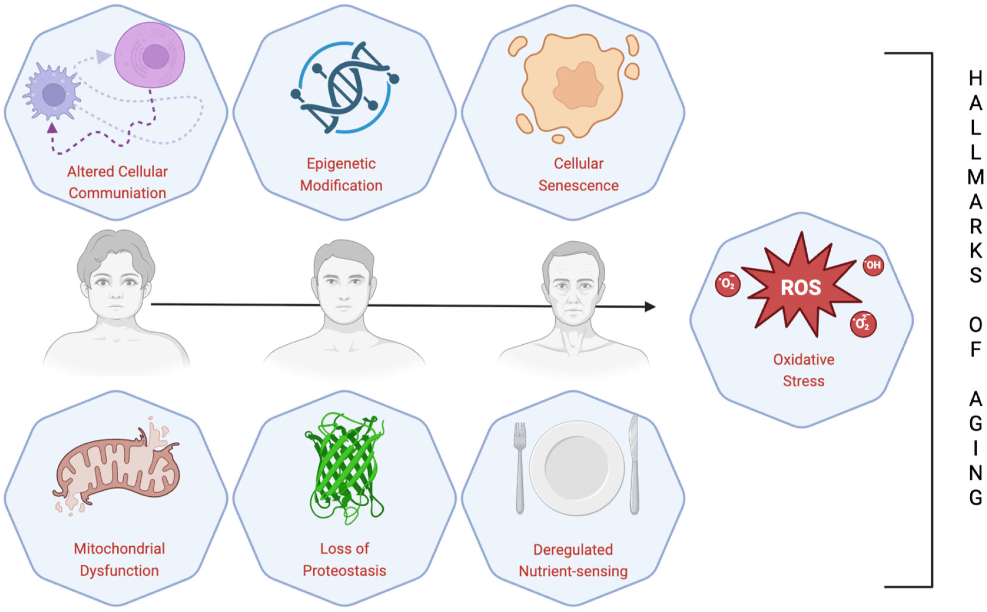 Nutrients 17 02009 g003