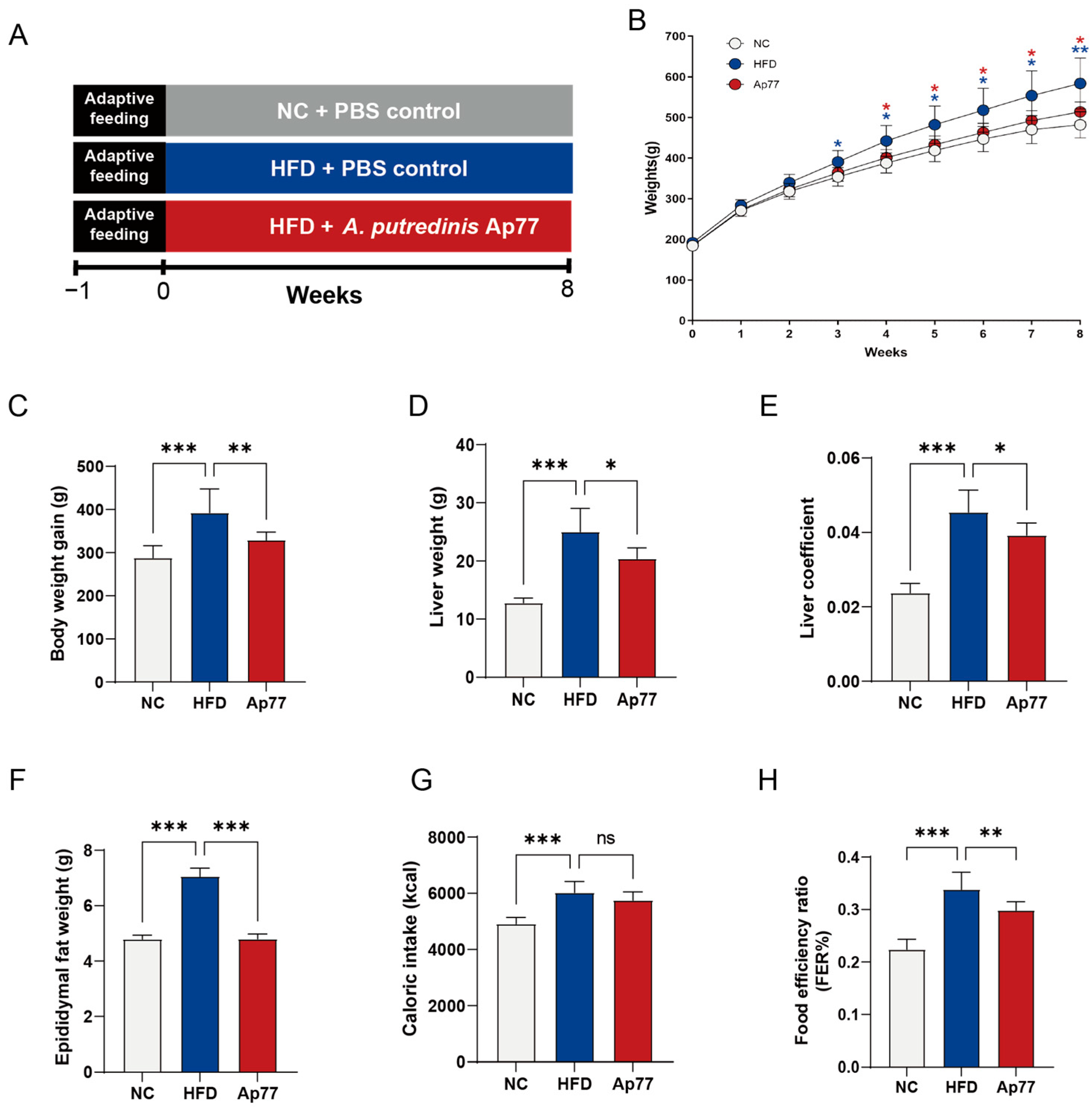 Nutrients 17 02013 g001