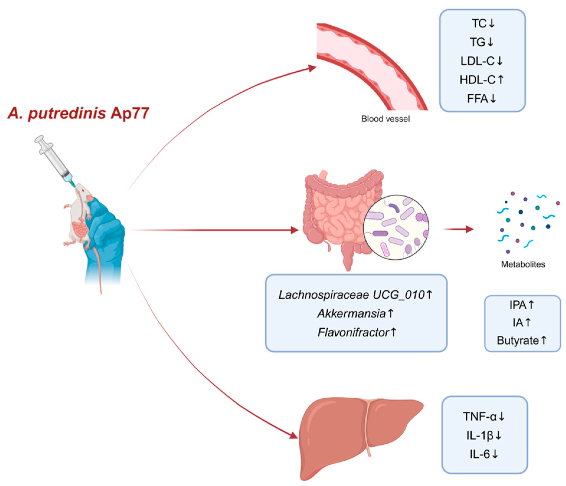 Nutrients 17 02013 g008