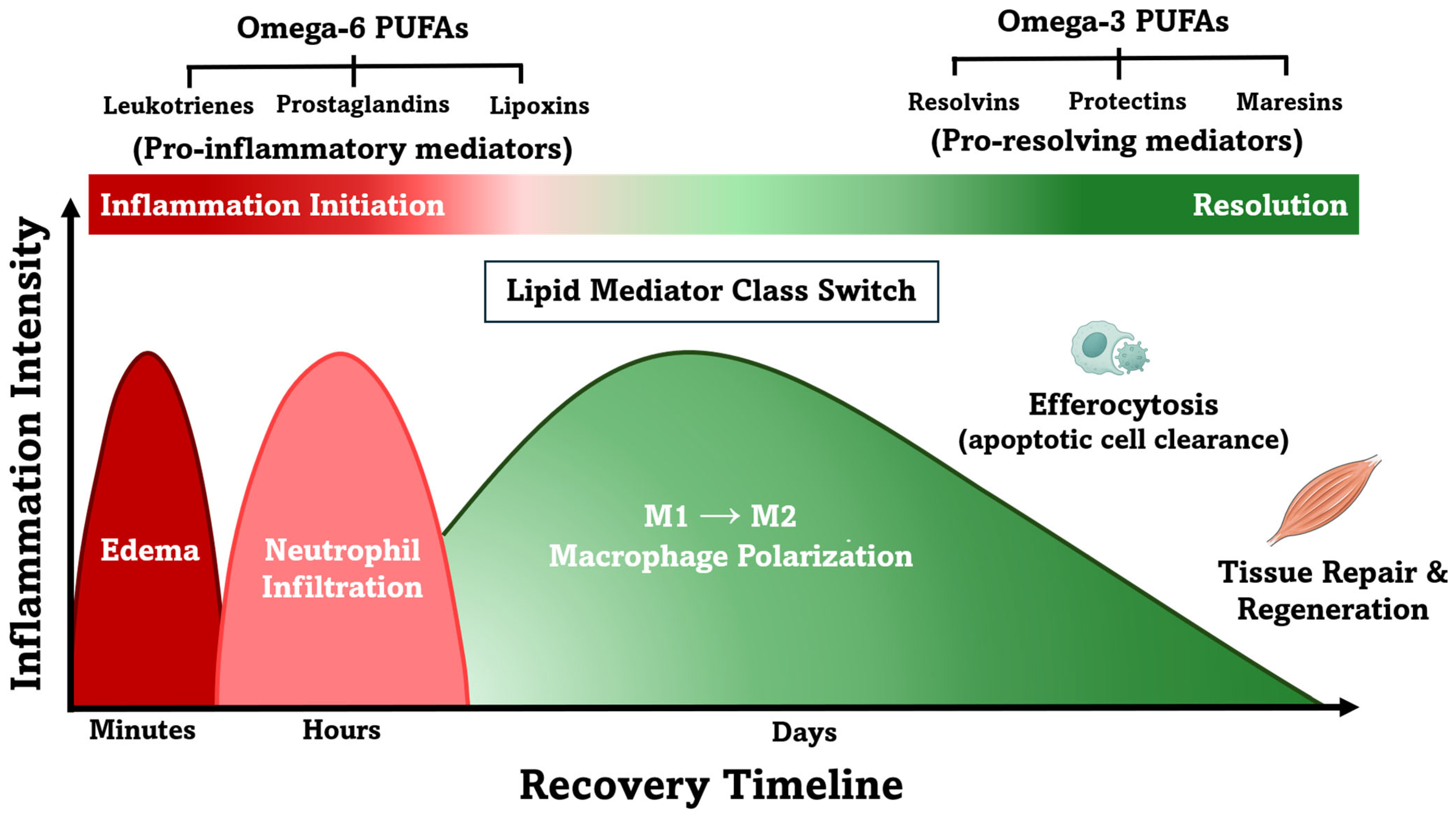 Nutrients 17 02014 g001