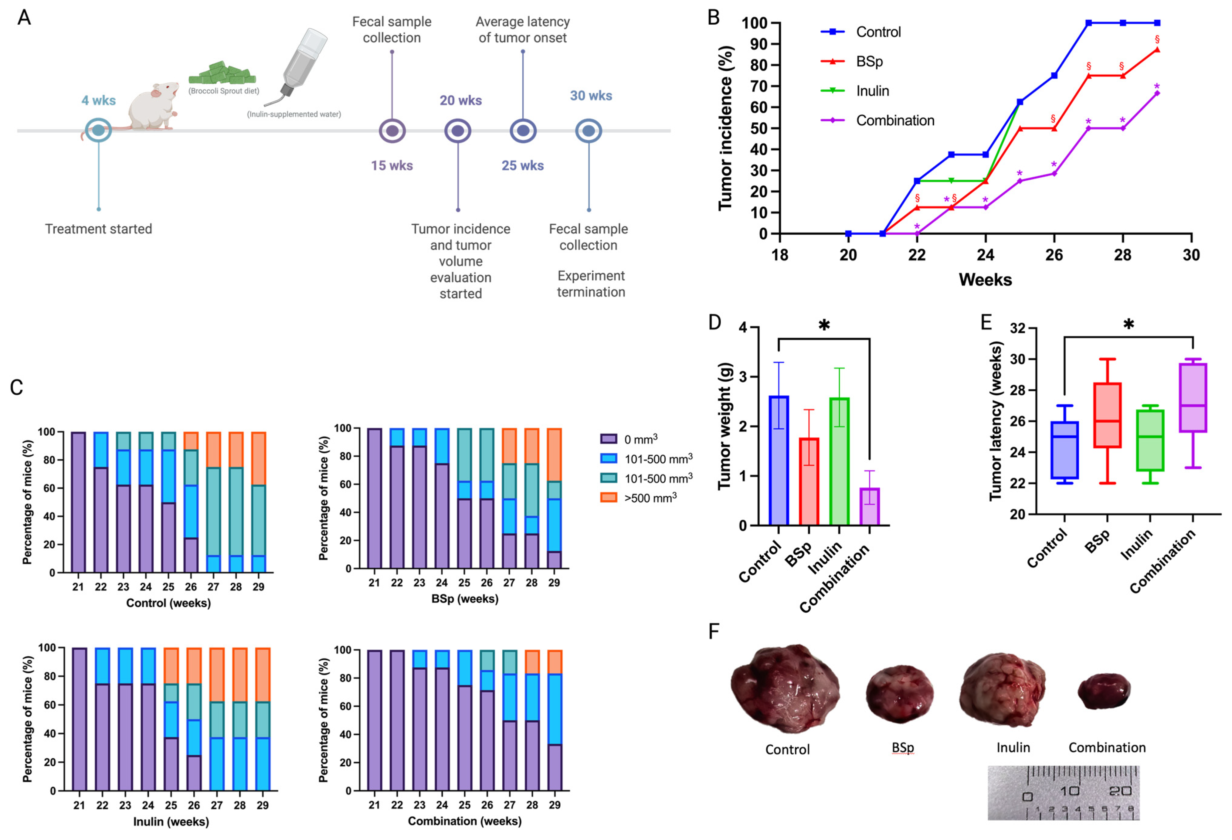 Nutrients 17 02023 g001