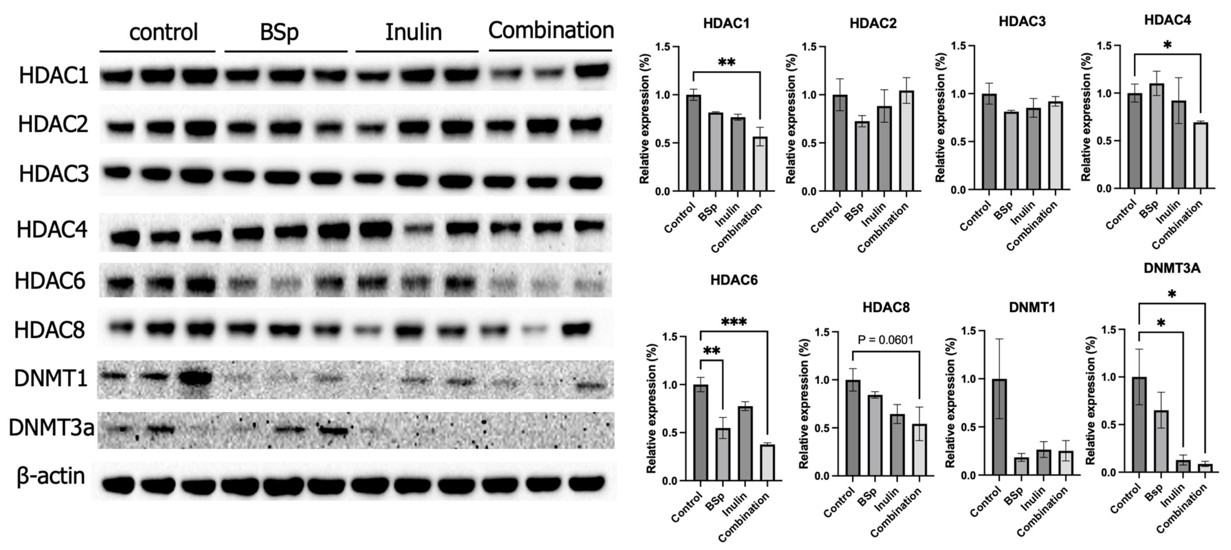 Nutrients 17 02023 g004