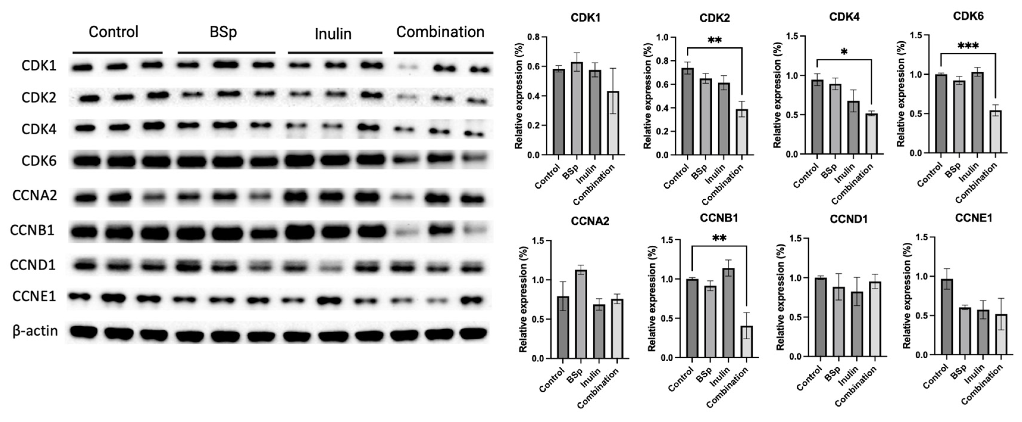 Nutrients 17 02023 g007