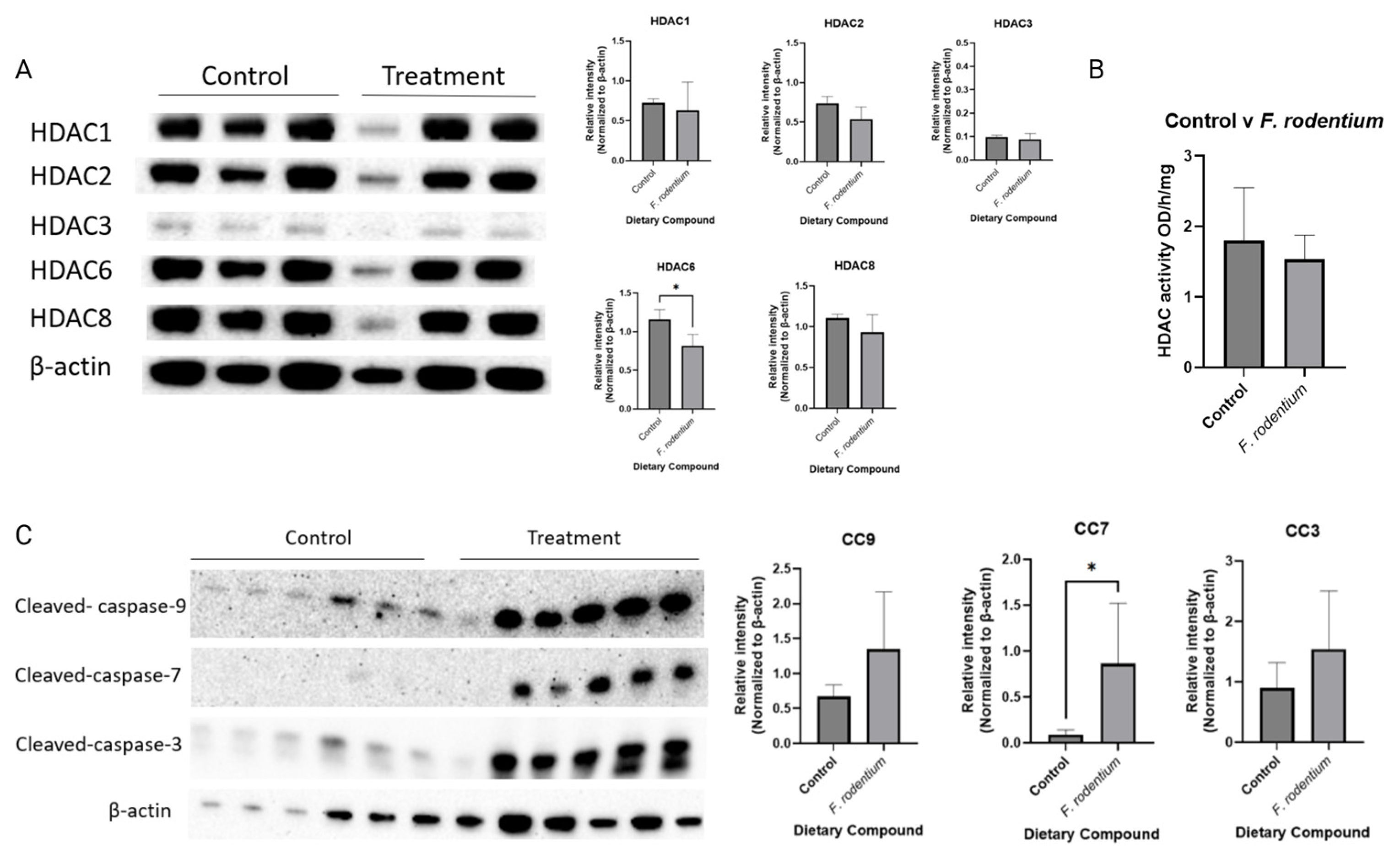 Nutrients 17 02023 g010