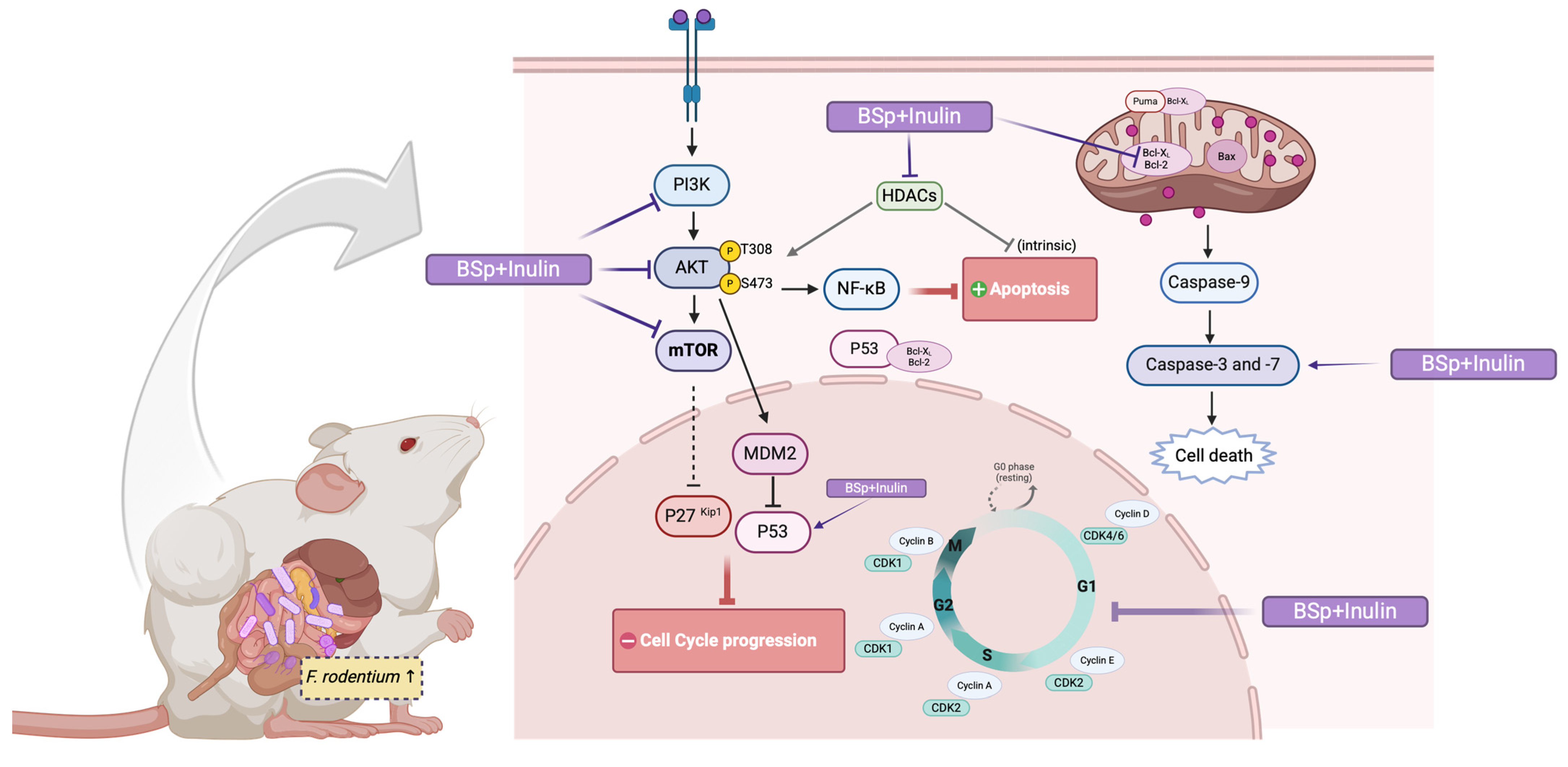 Nutrients 17 02023 g011