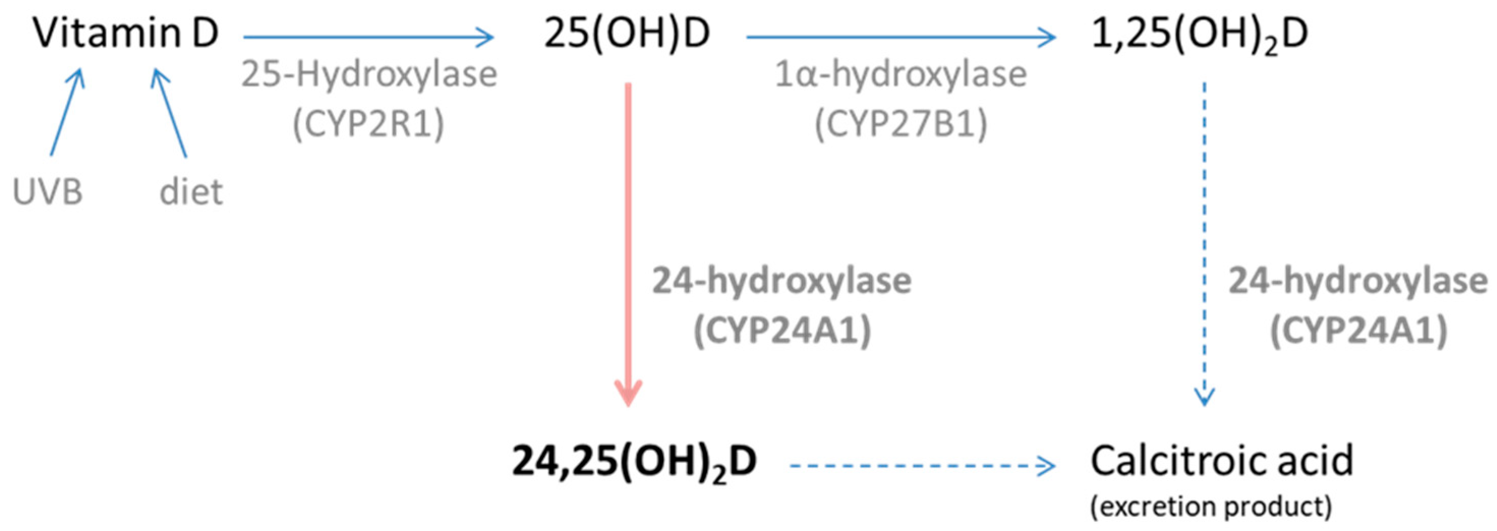 Nutrients 17 02039 g001