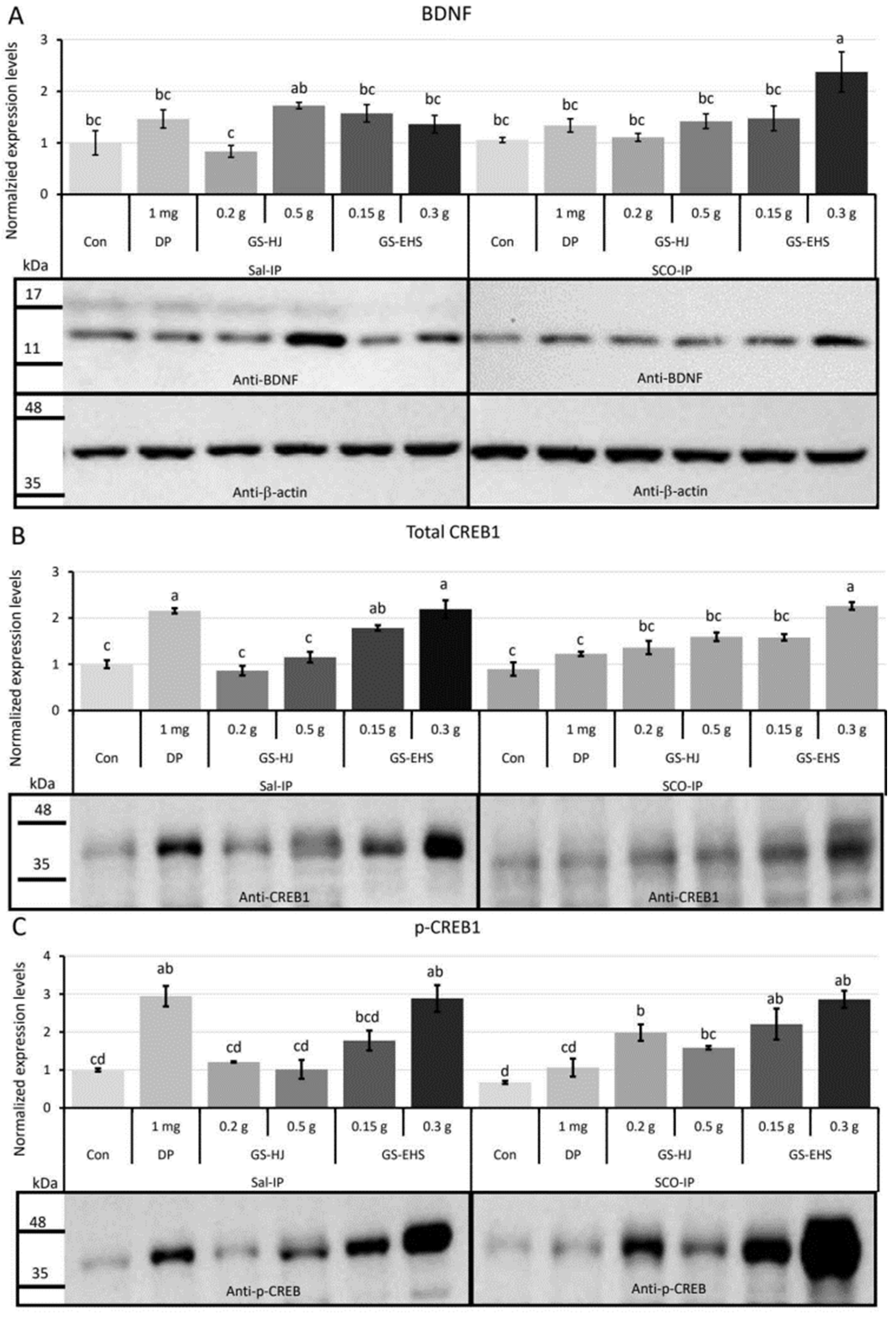 Nutrients 17 02044 g004 Nutrients 17 02044 g004