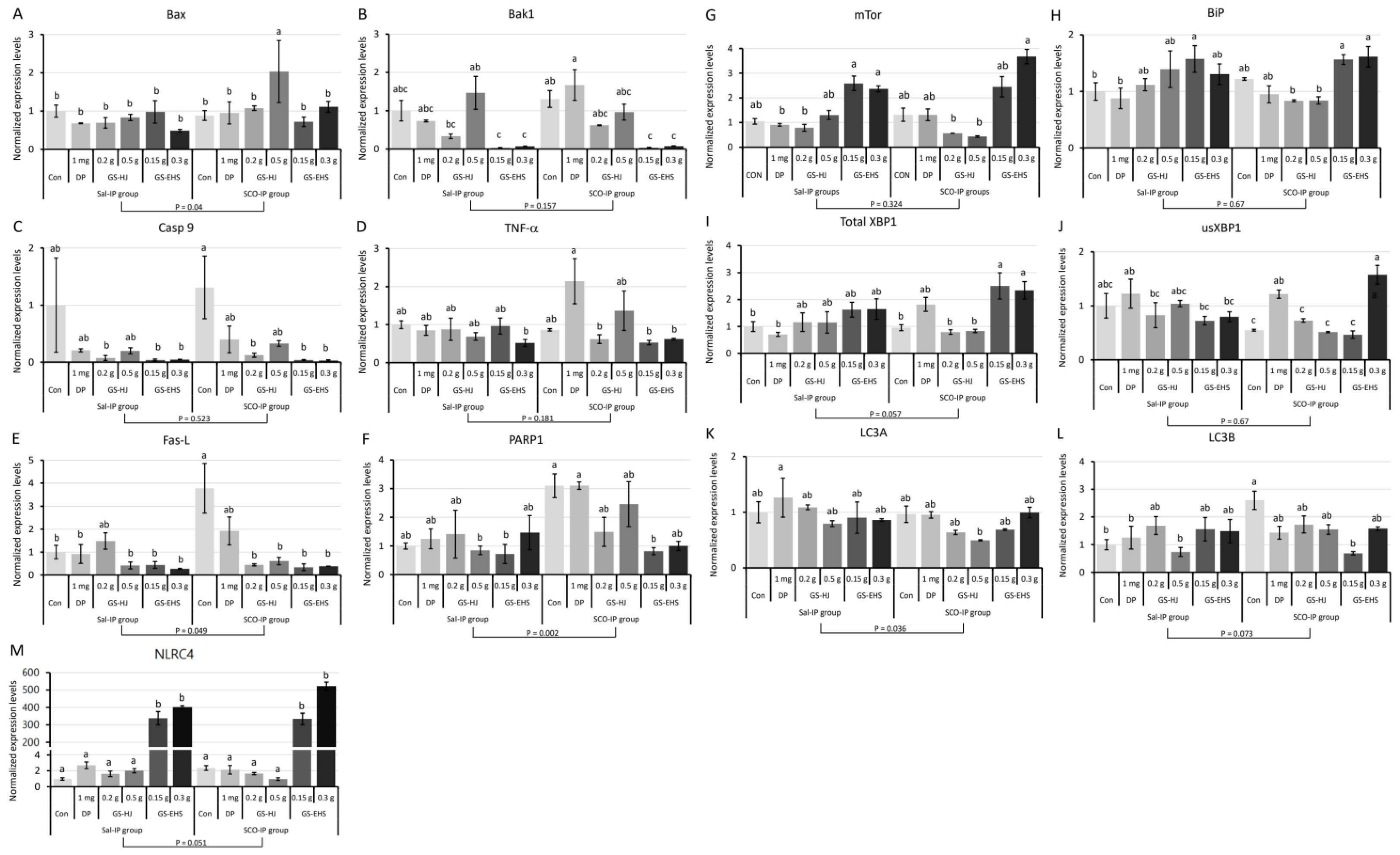 Nutrients 17 02044 g006 Nutrients 17 02044 g006