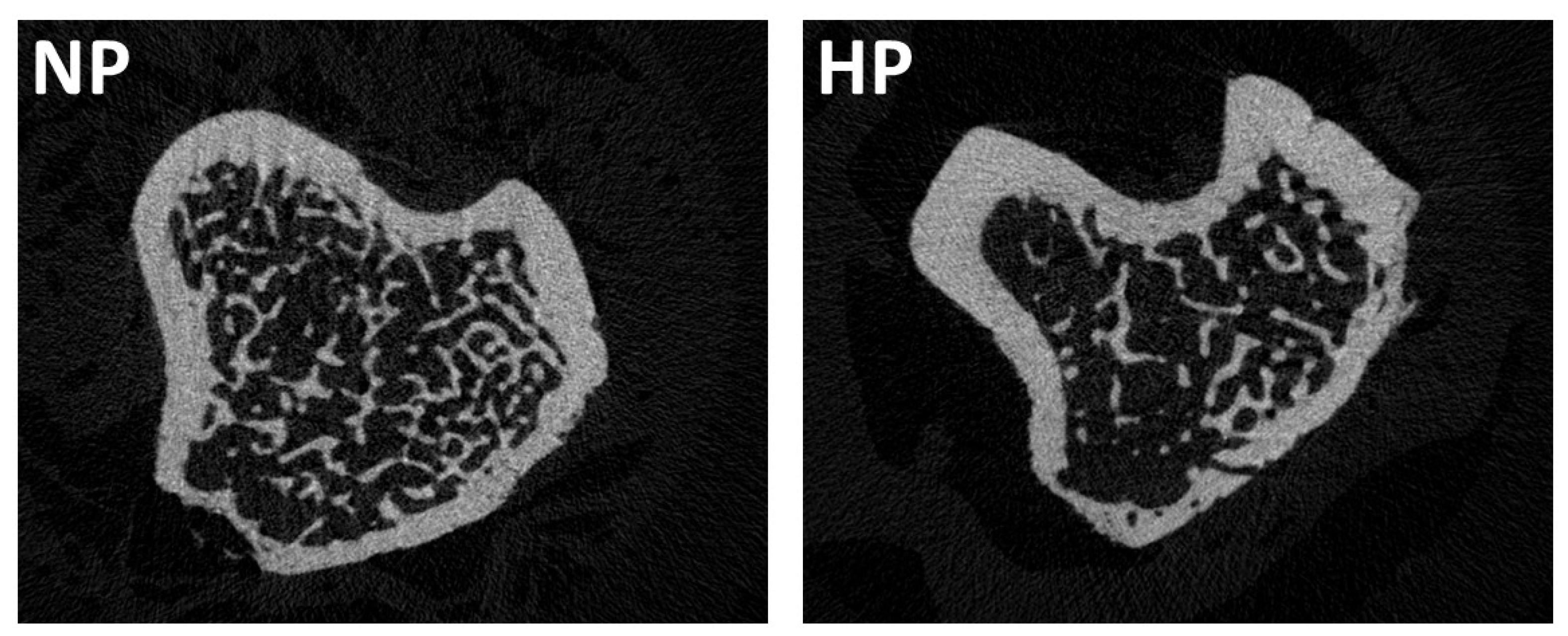 Nutrients 17 02049 g002