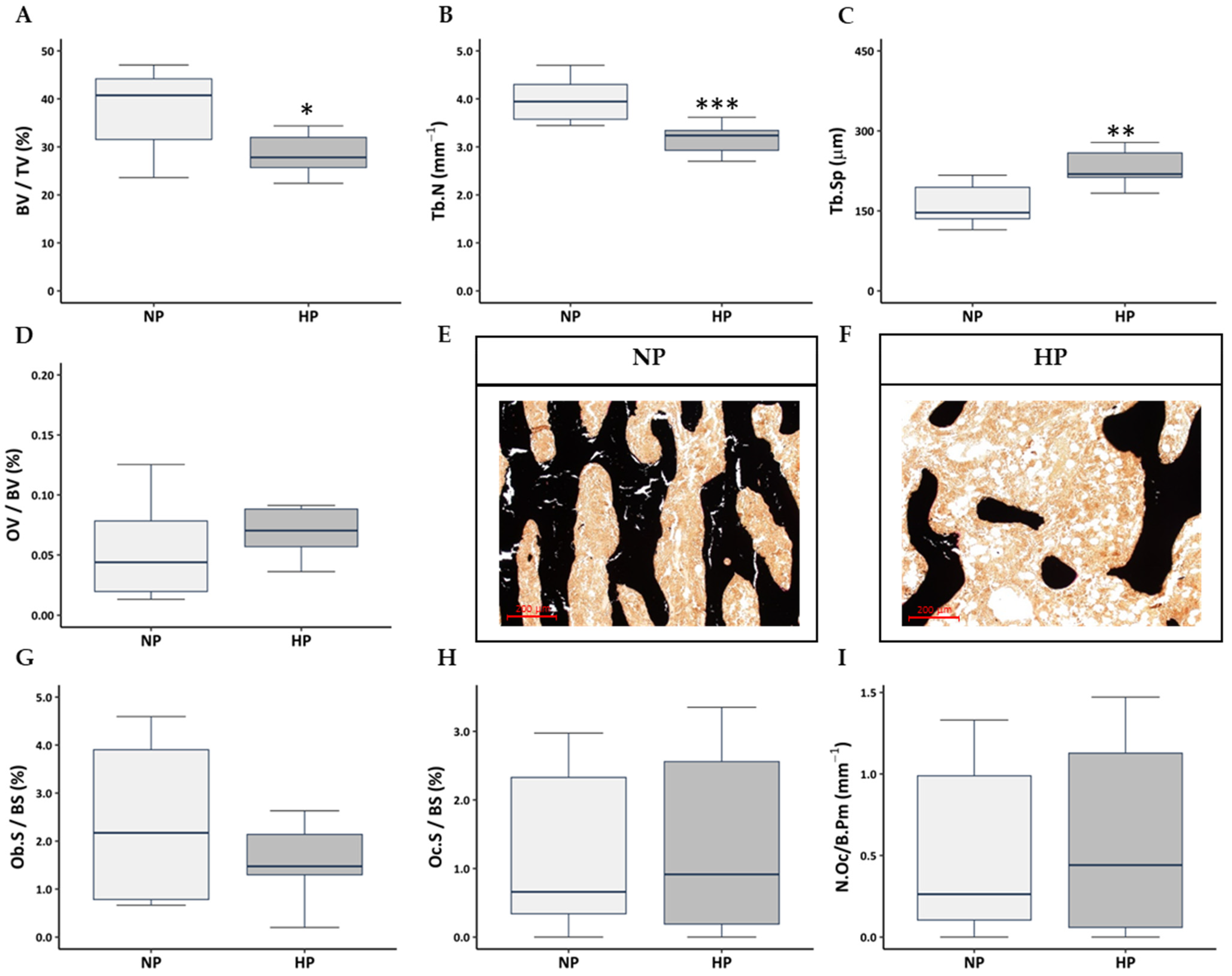 Nutrients 17 02049 g003