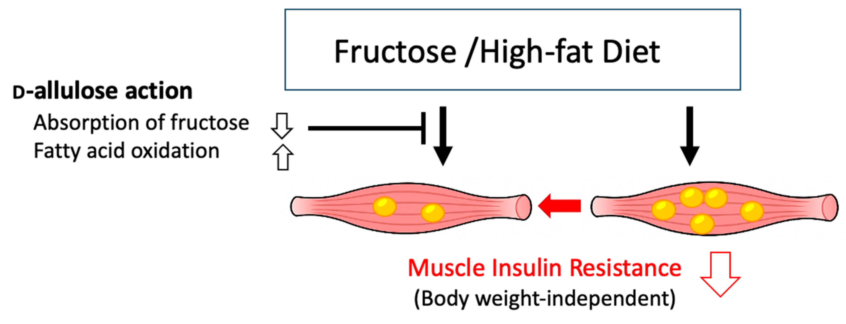 Nutrients 17 02050 g010