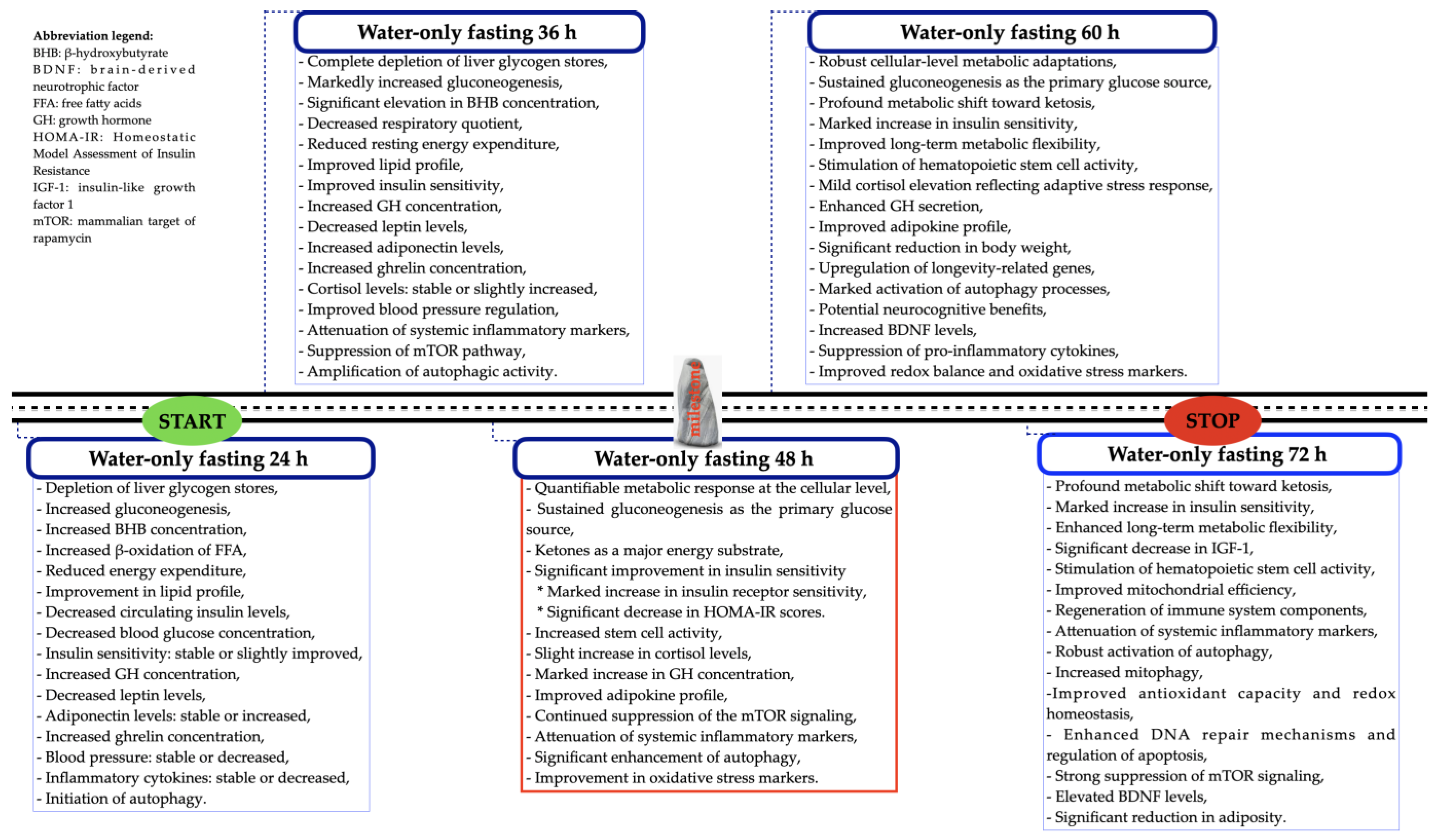 Nutrients 17 02061 g003